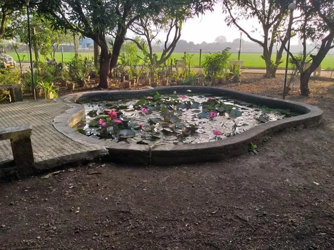 Garden in Gir Jungle Lodge