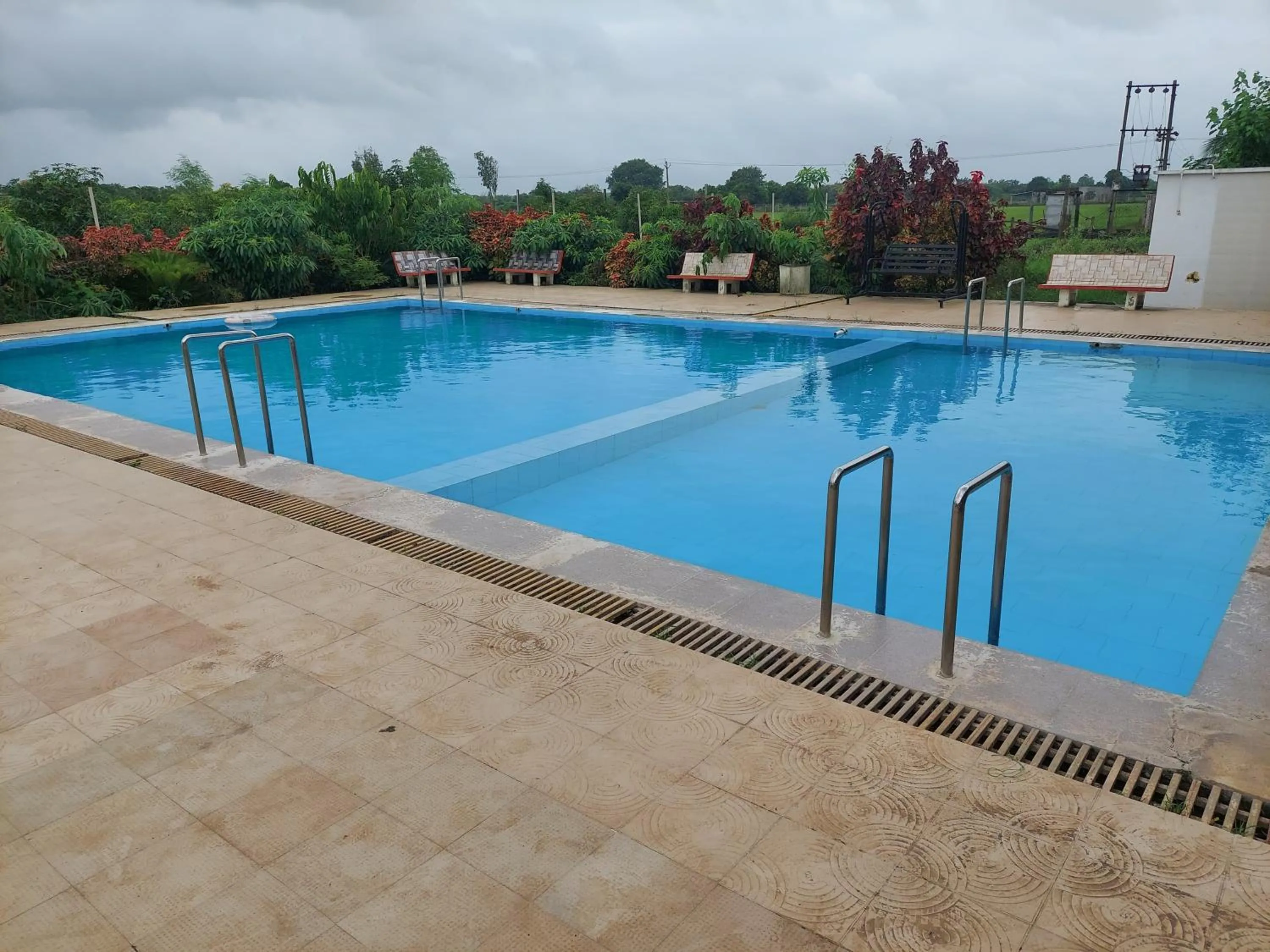 Swimming pool in Gir Jungle Lodge