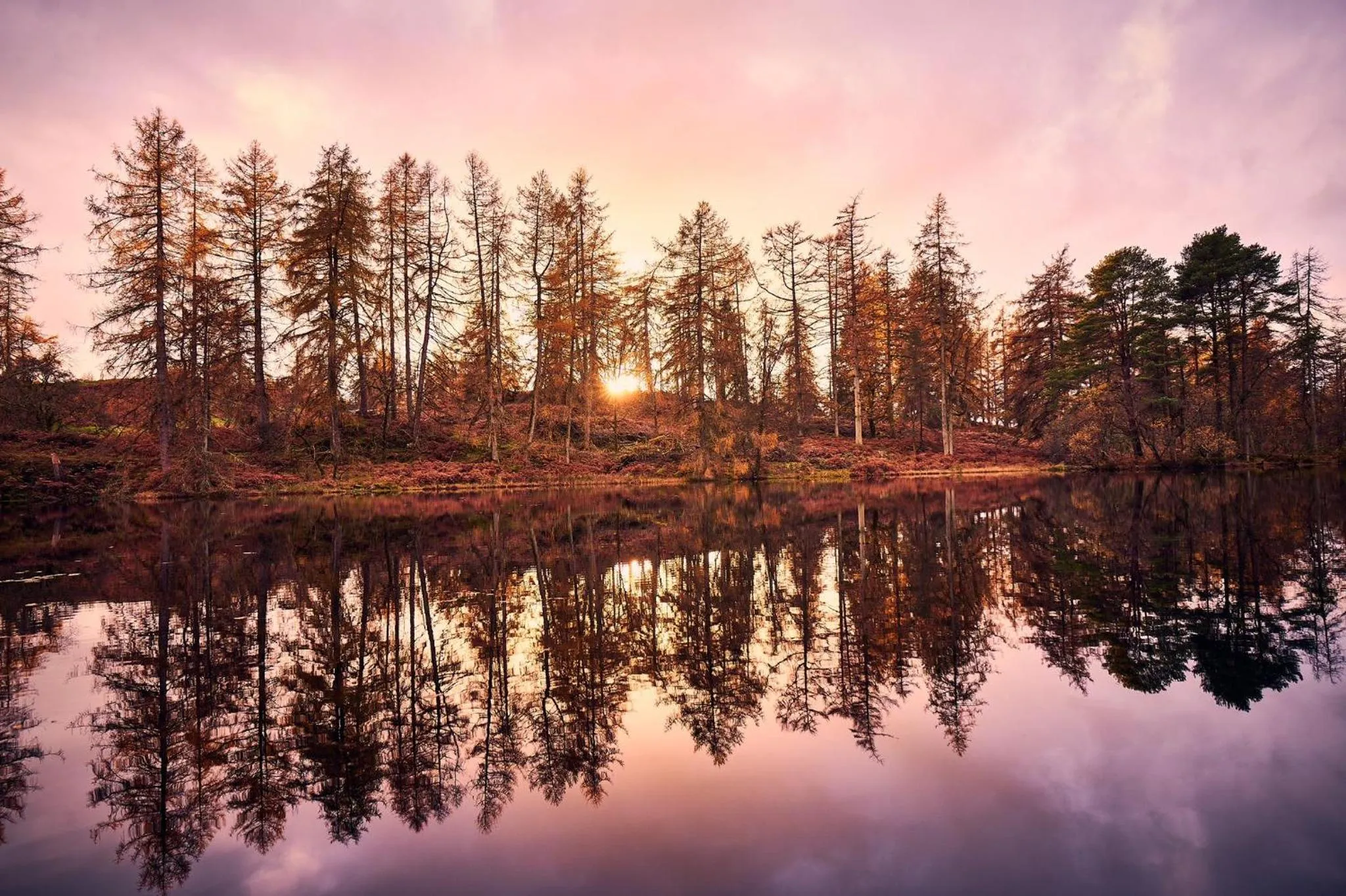 Natural landscape in Gilpin Hotel & Lake House