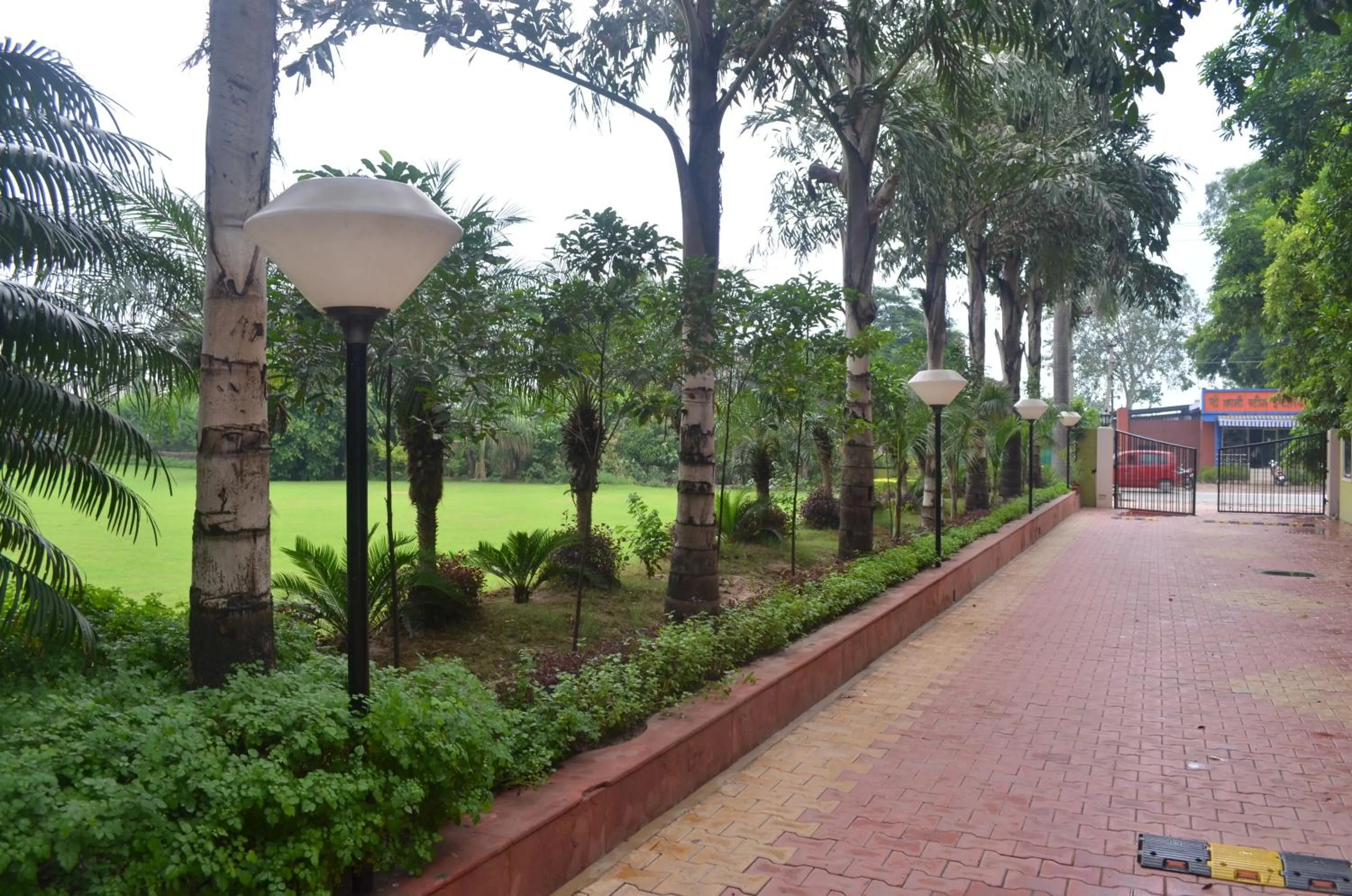 Garden in The Radha Ashok