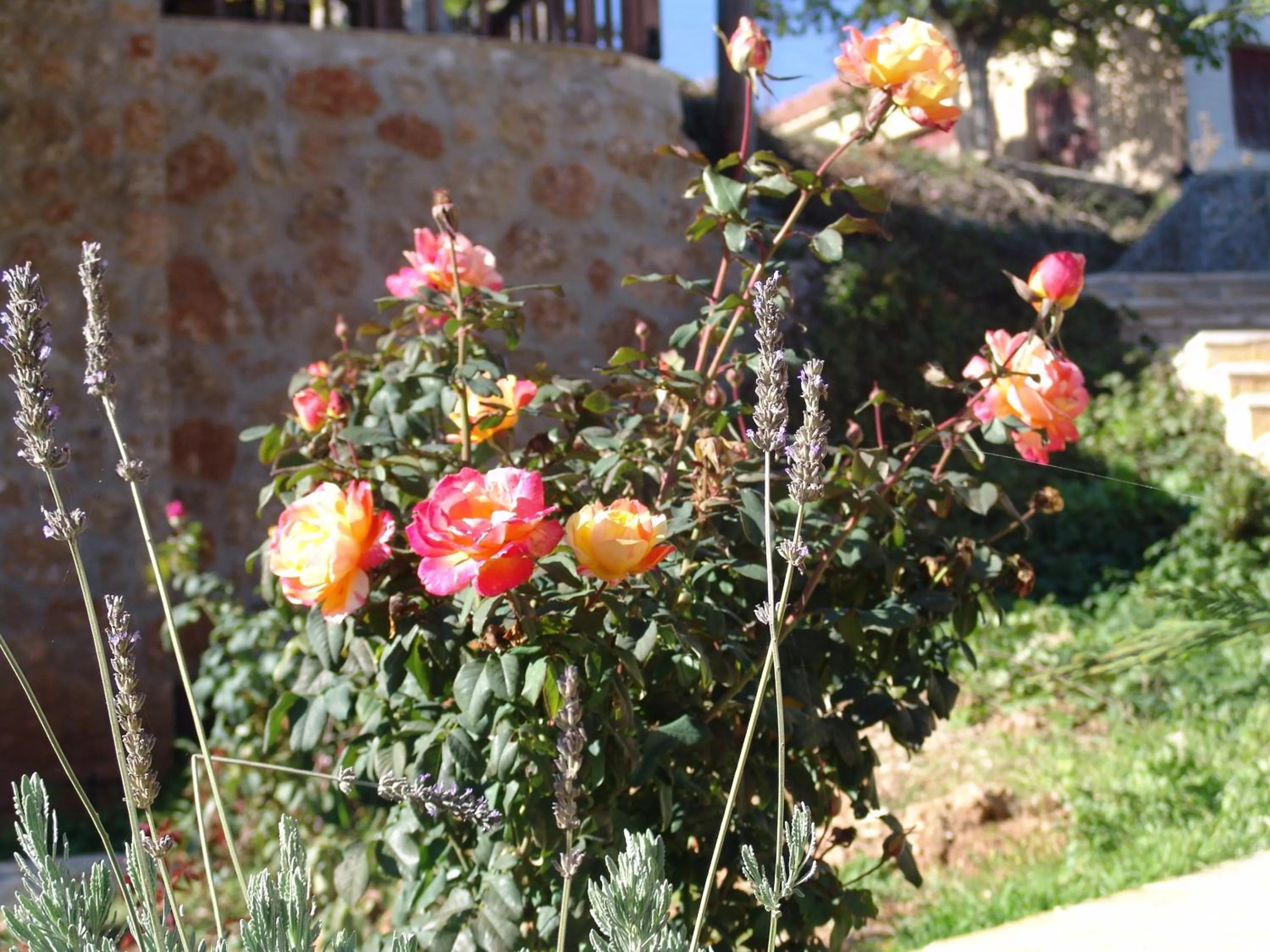 Spring in Trikalon Muses Art Suites