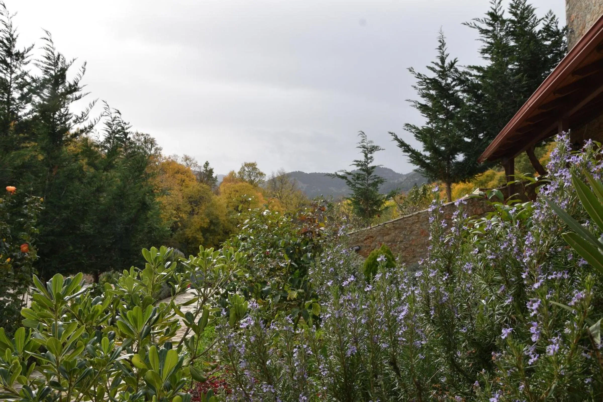 Natural landscape in Trikalon Muses Art Suites