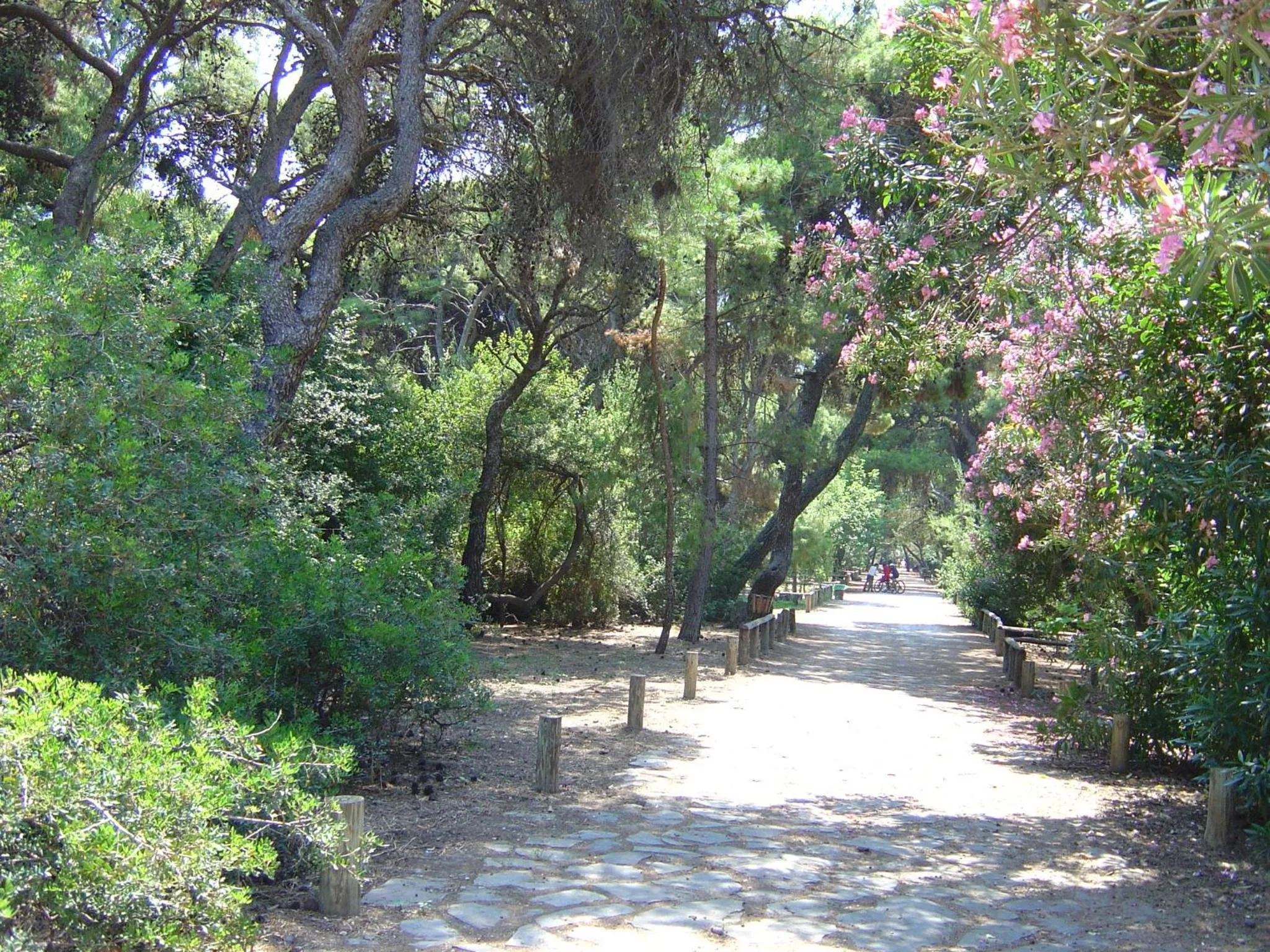 Natural landscape in Trikalon Muses Art Suites