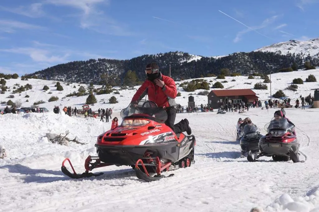 Winter in Trikalon Muses Art Suites