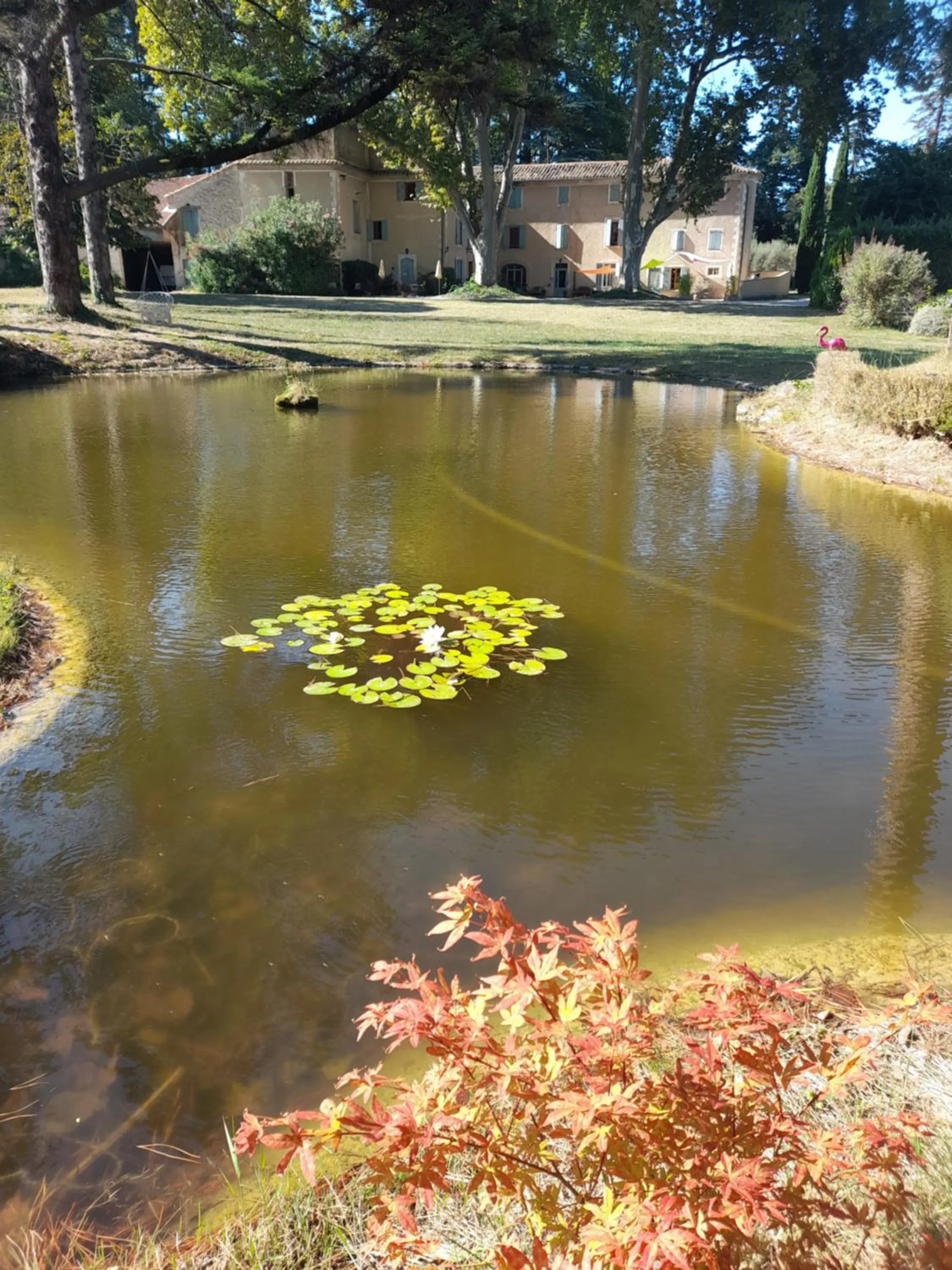 Garden in Domaine de Bellevue CHAMBRE D'HÔTES