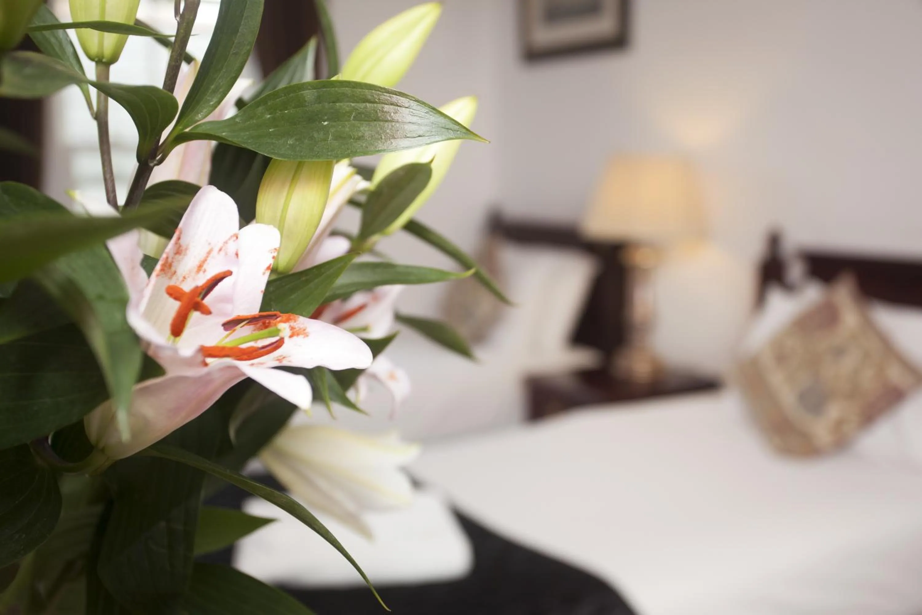 Decorative detail, Bed in The Five Bells