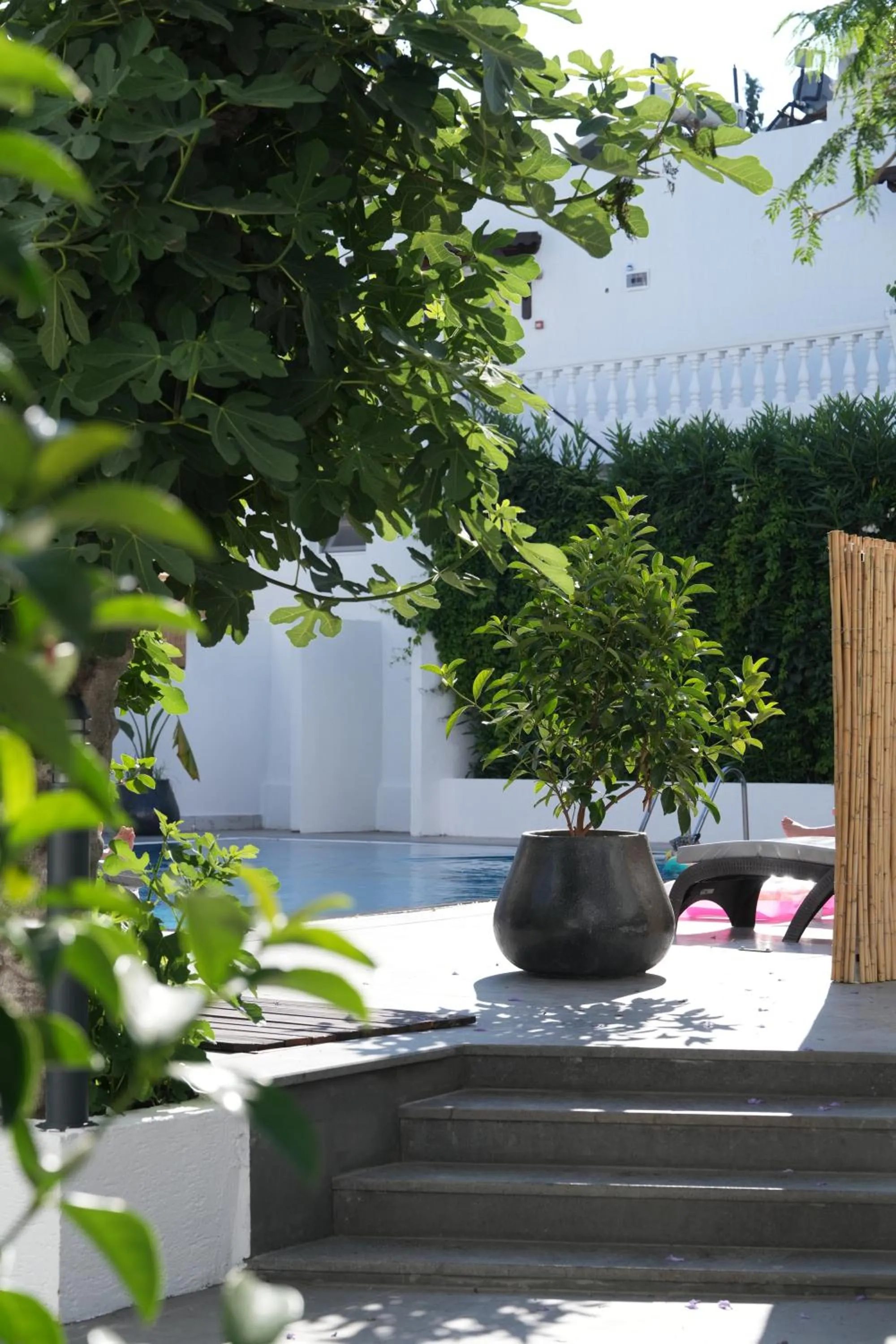 Garden view in Manuela Boutique Hotel Bitez