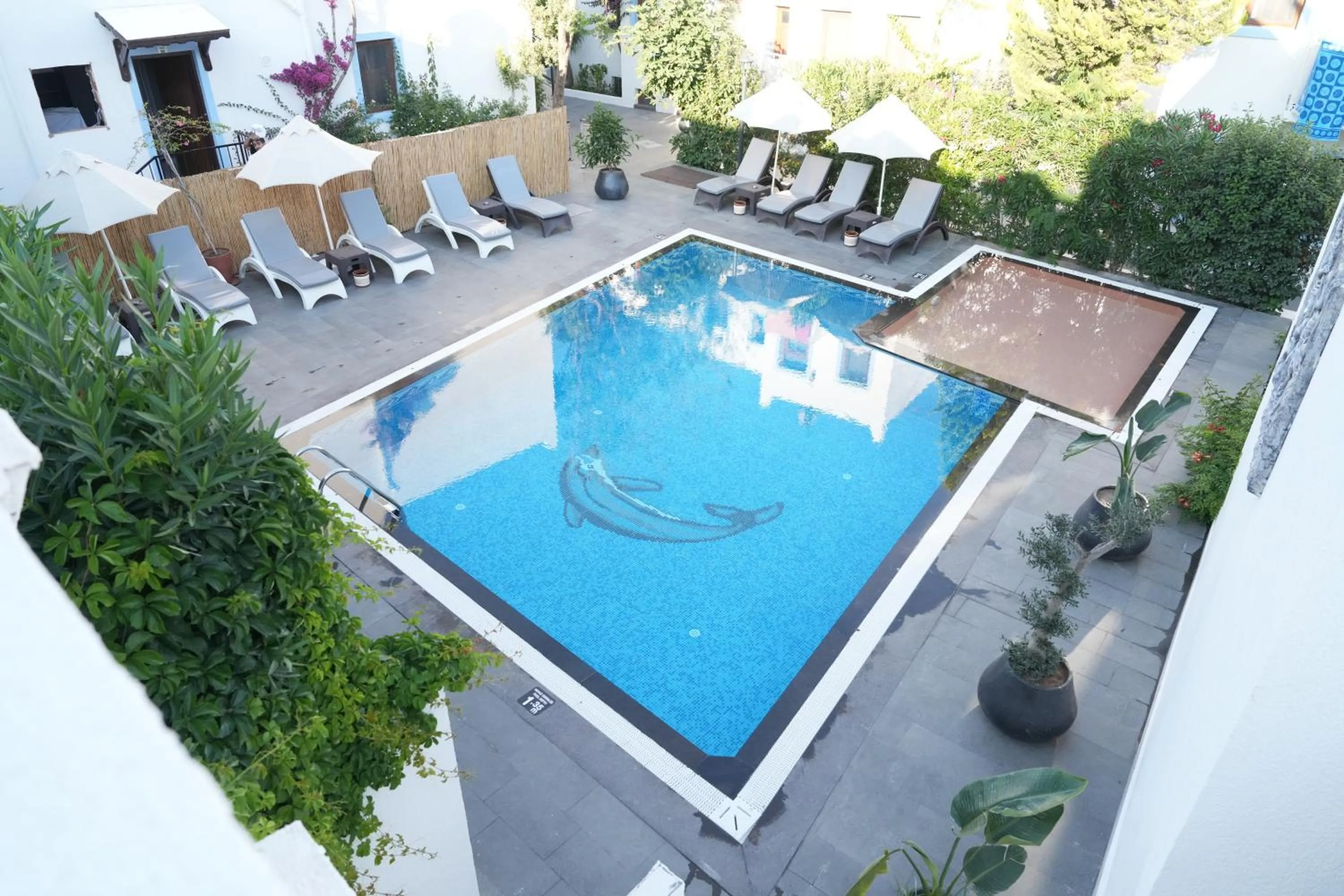 Pool view in Manuela Boutique Hotel Bitez