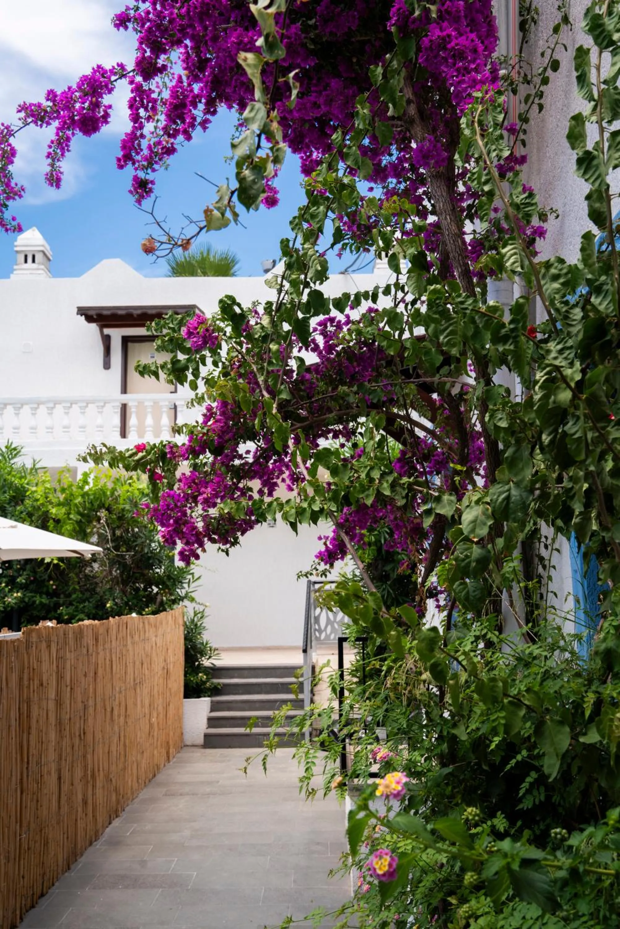 Manuela Boutique Hotel Bitez