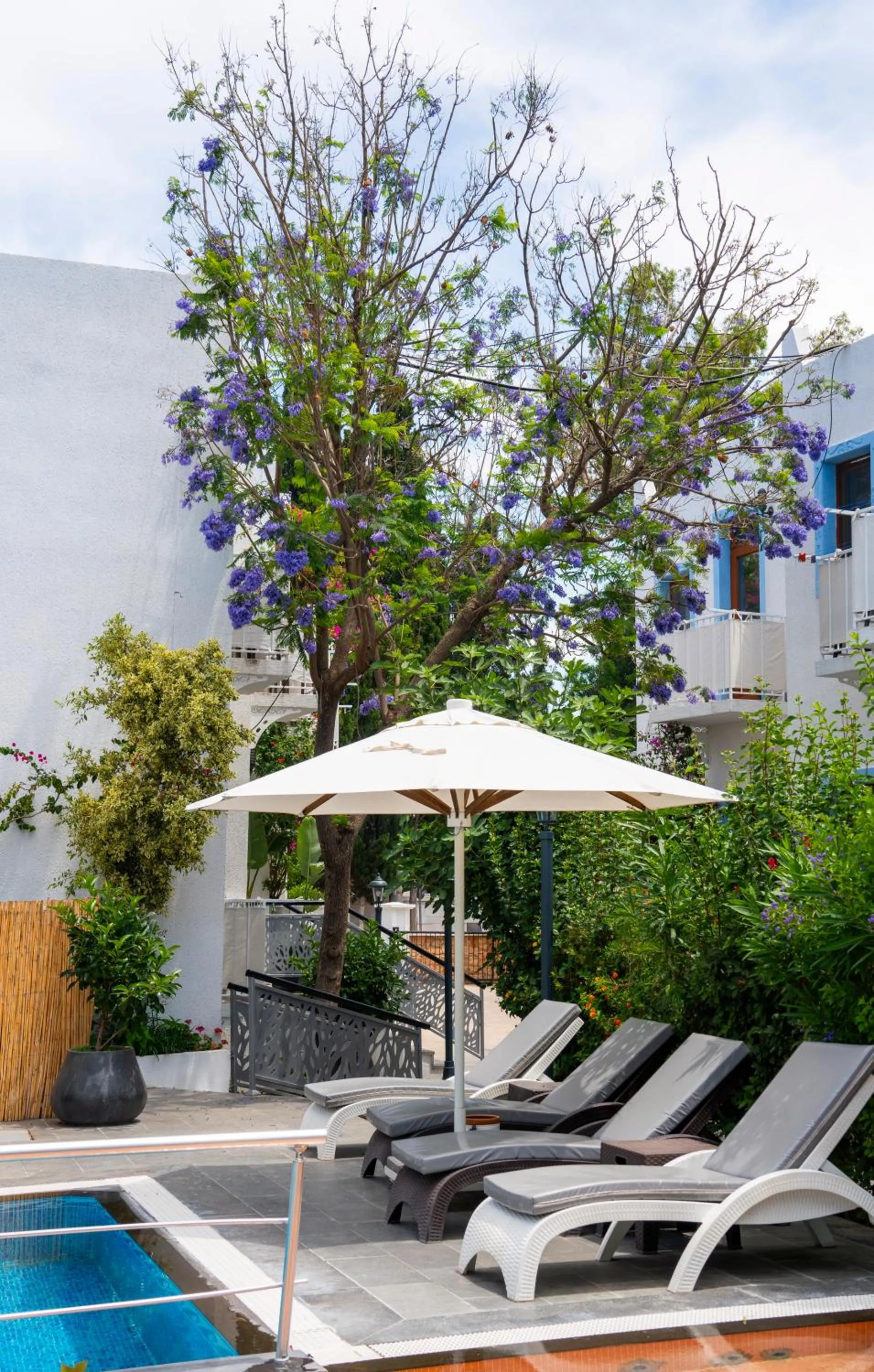 Manuela Boutique Hotel Bitez