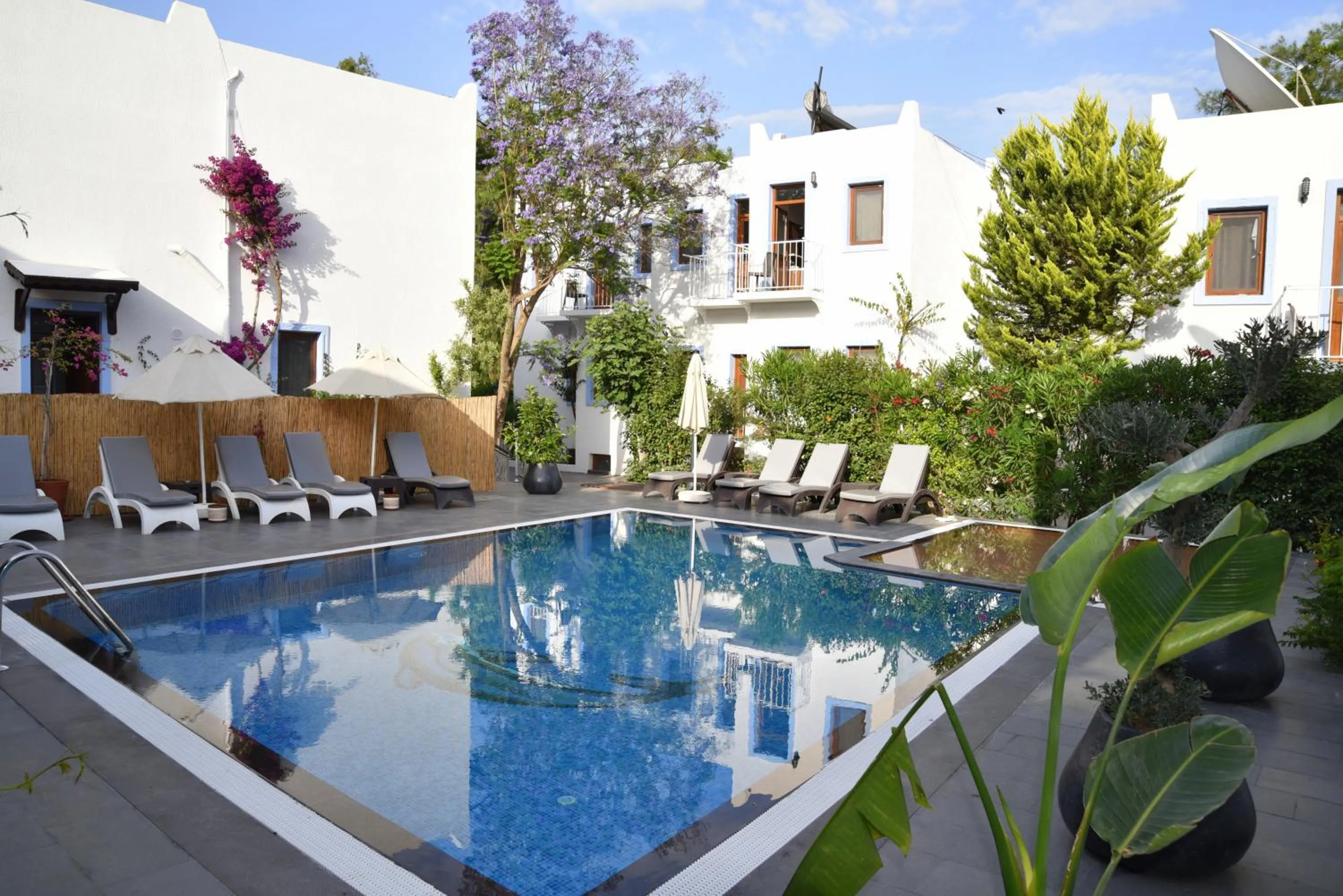 Pool view in Manuela Boutique Hotel Bitez