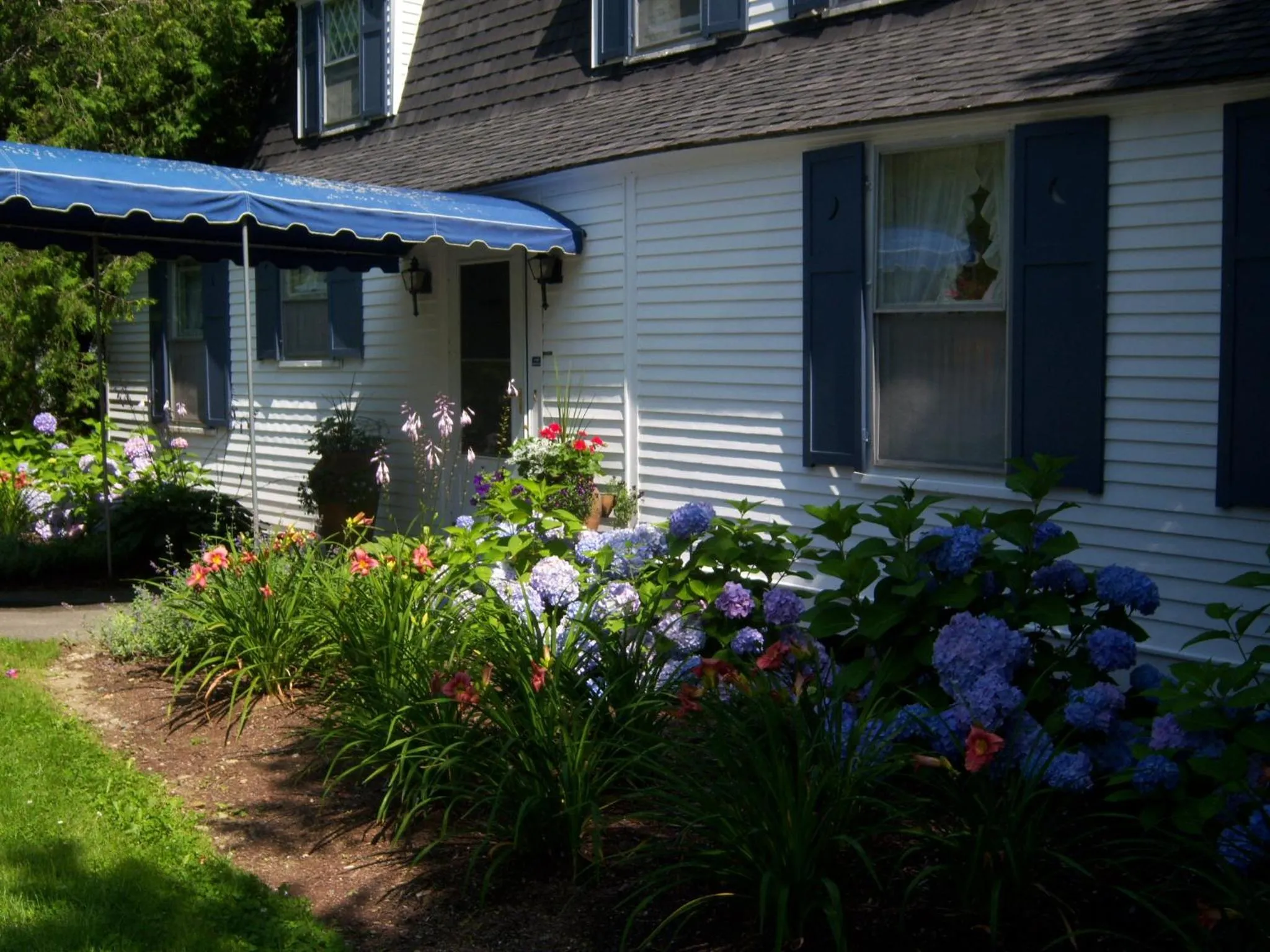 Facade/entrance in High Tide Inn on the Ocean, Motel and Cottages