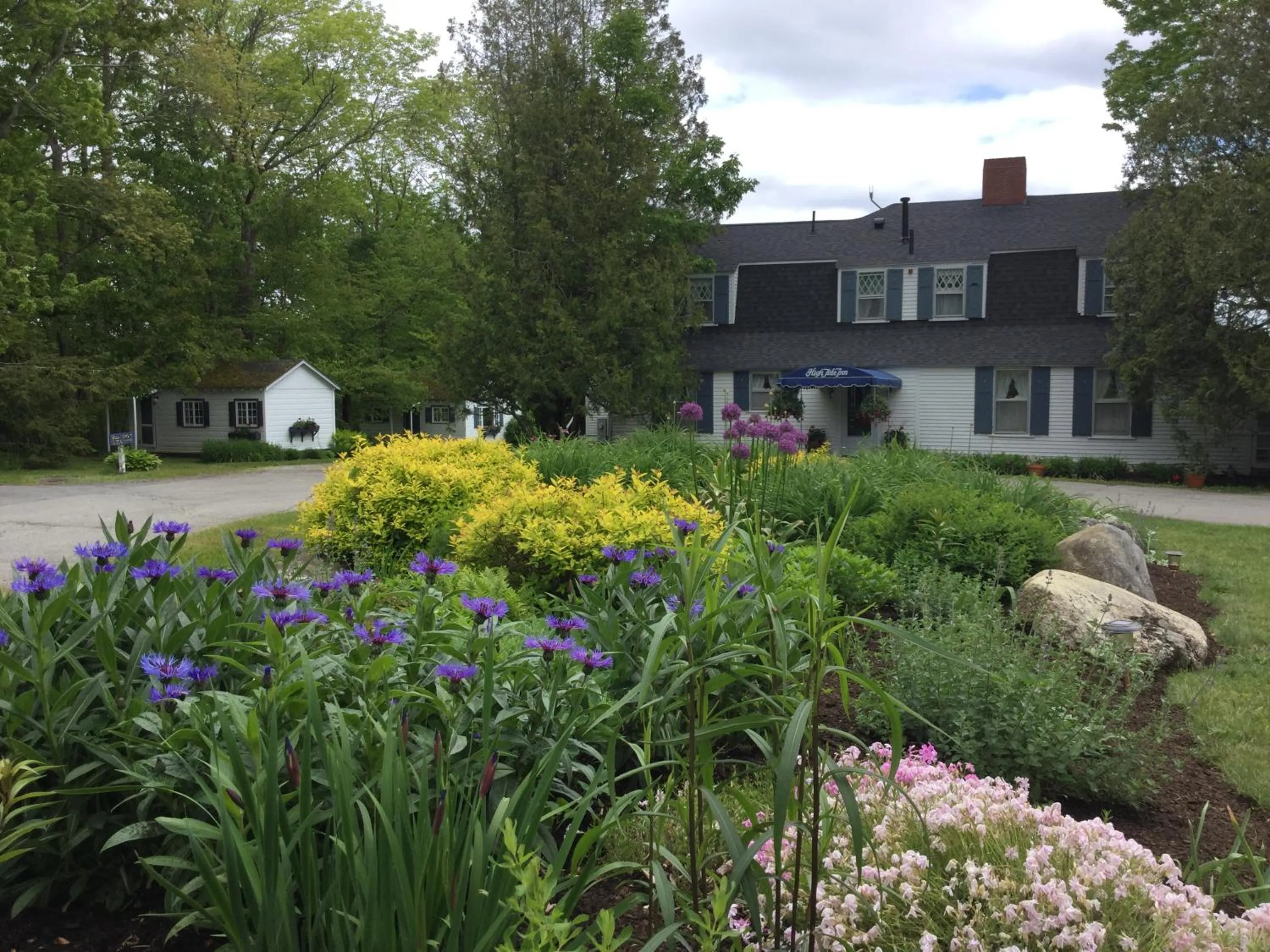 Garden in High Tide Inn on the Ocean, Motel and Cottages