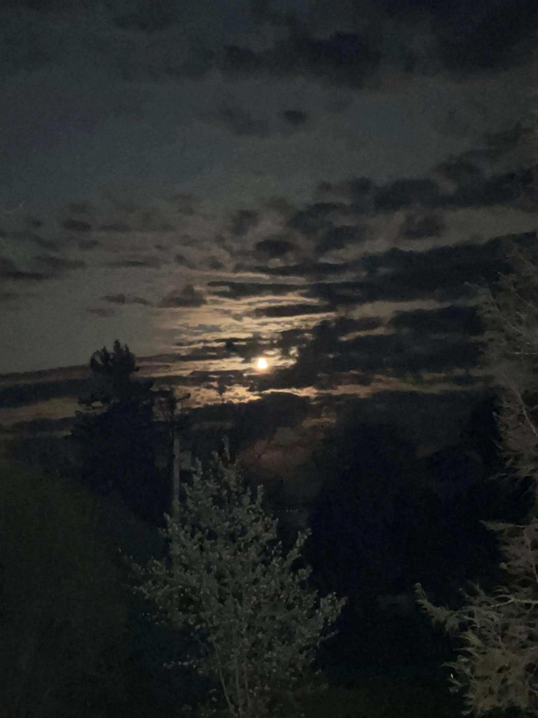 View (from property/room) in High Tide Inn on the Ocean, Motel and Cottages
