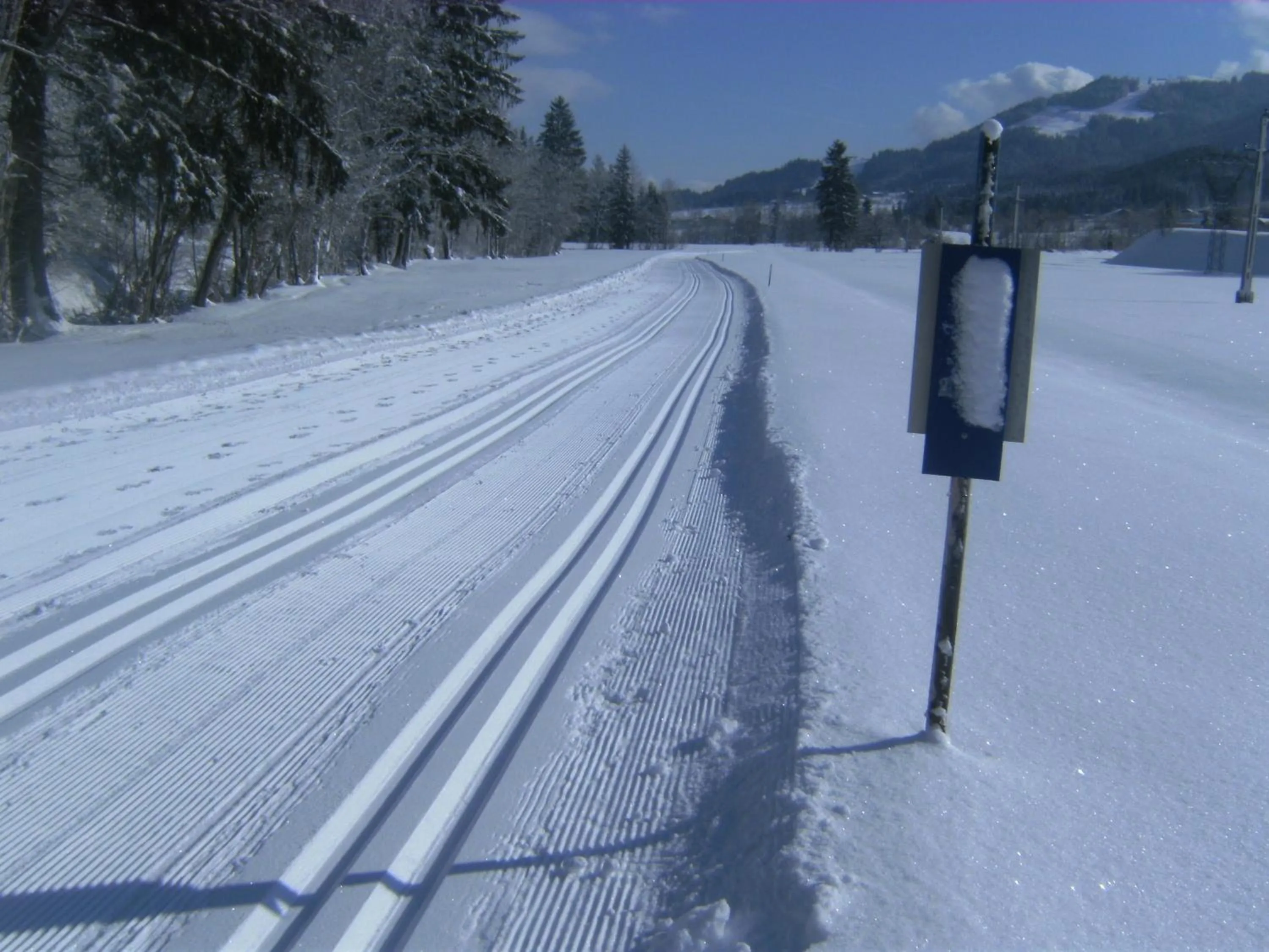 Area and facilities in Hotel Berghof