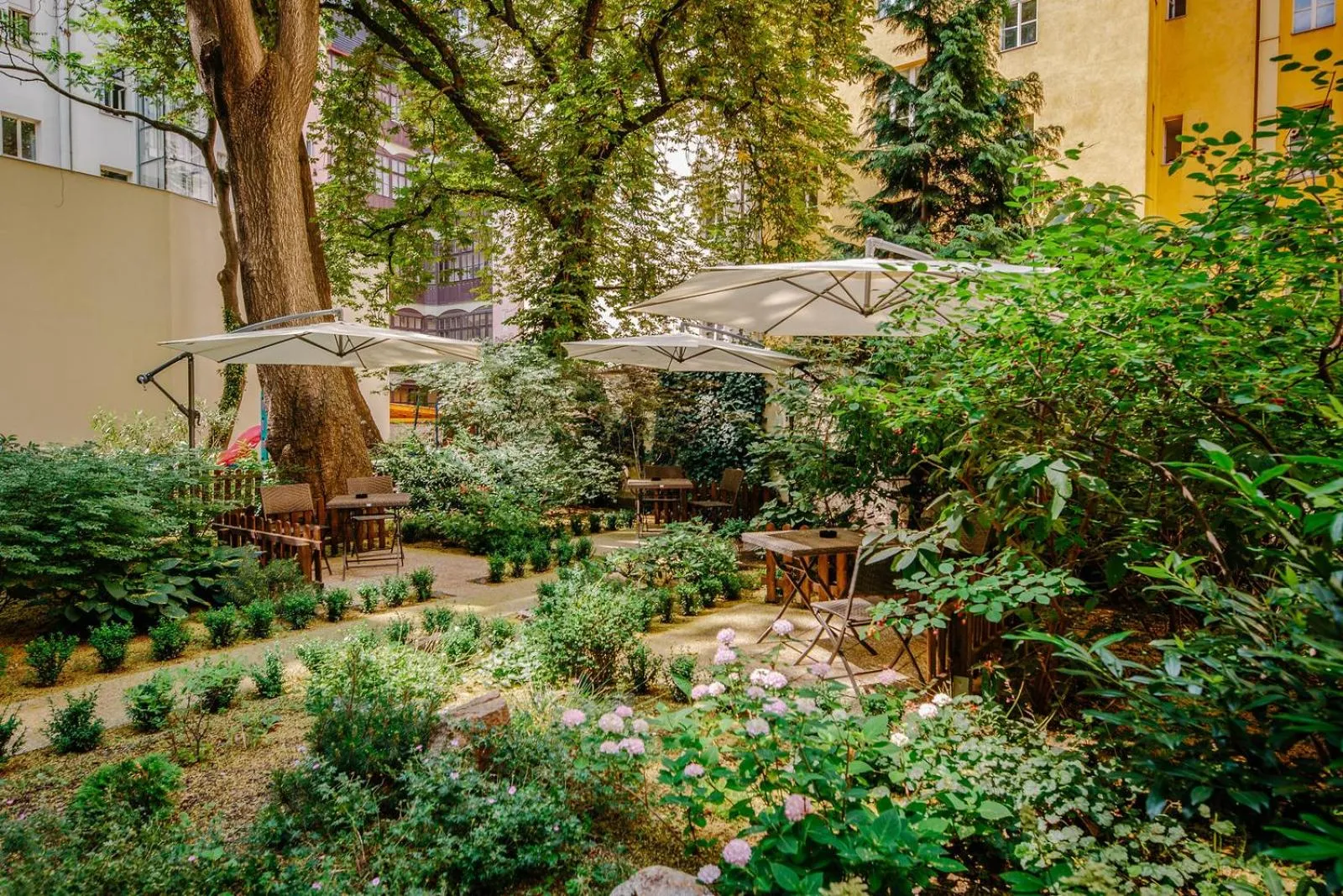 Garden in Hotel NOIR