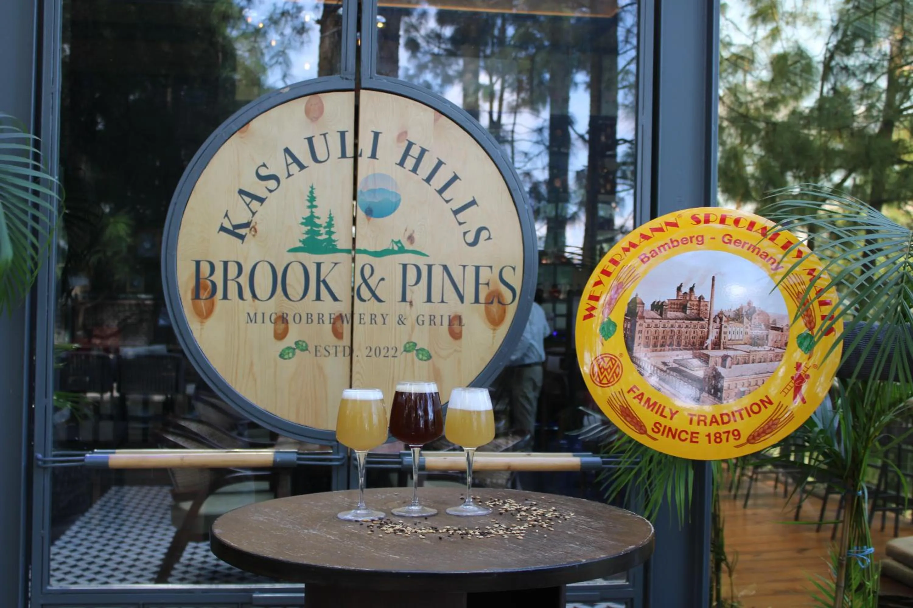 Drinks in Kasauli Hills Resort