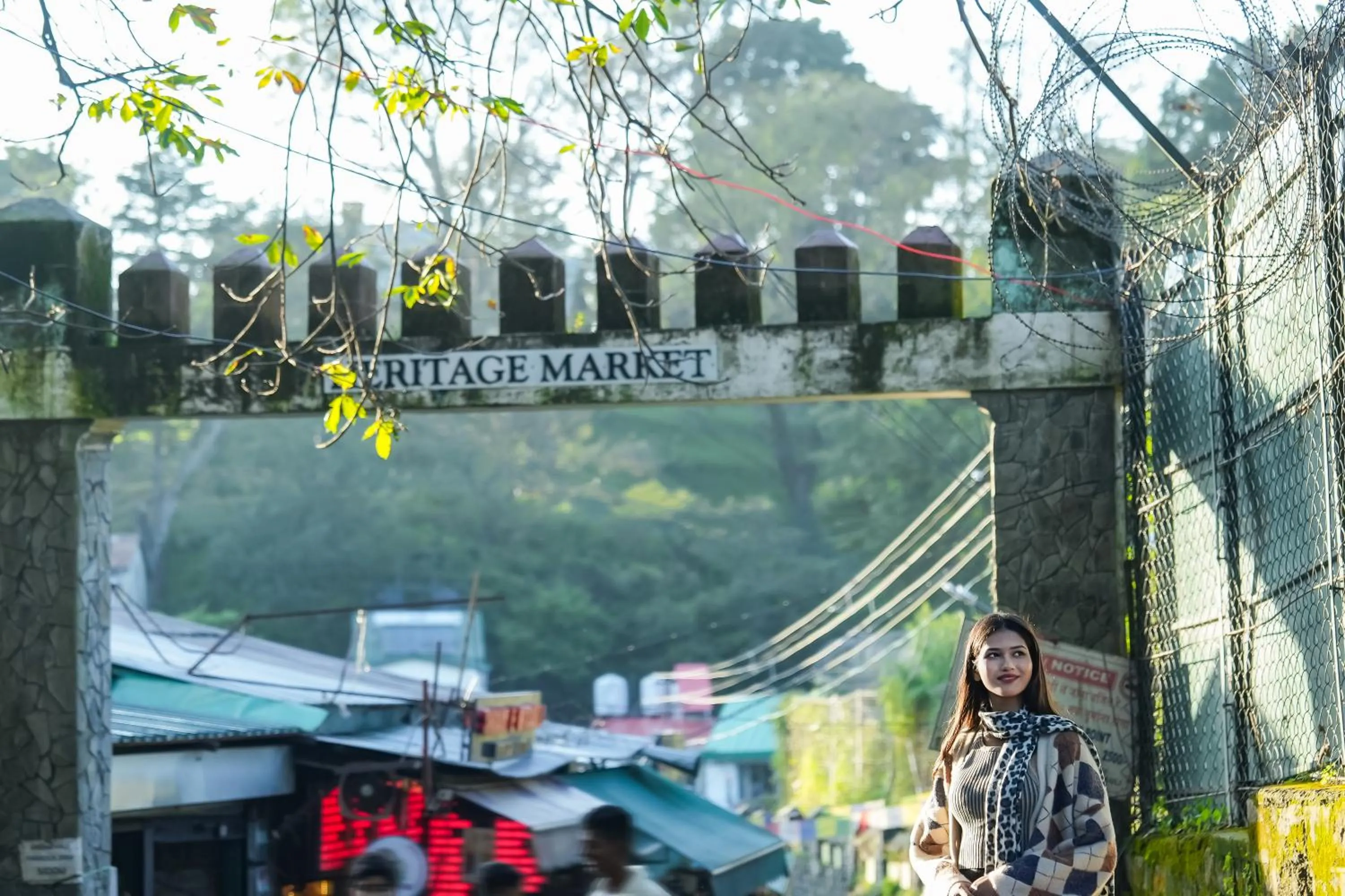 Natural landscape in Kasauli Hills Resort
