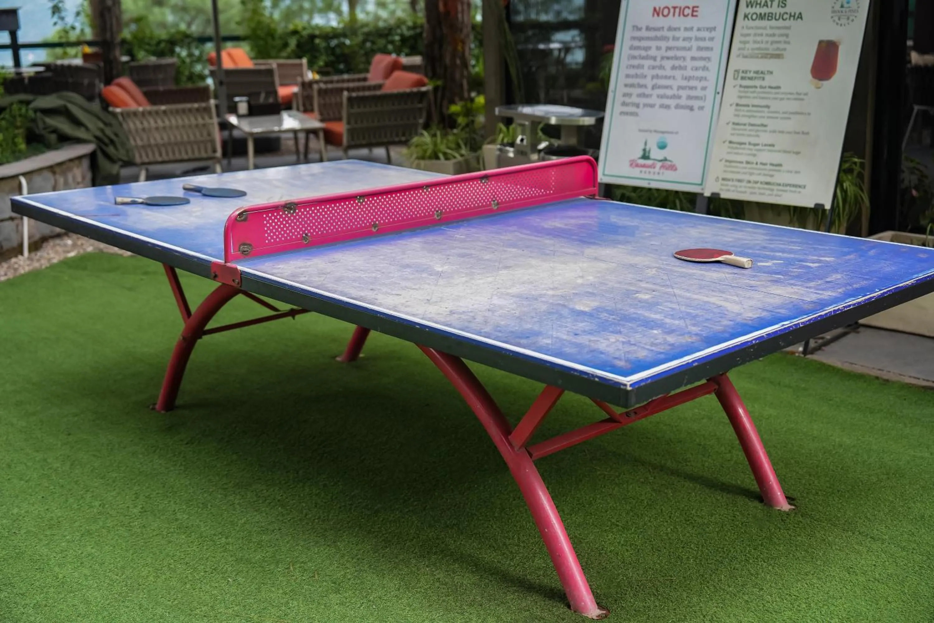 Activities in Kasauli Hills Resort