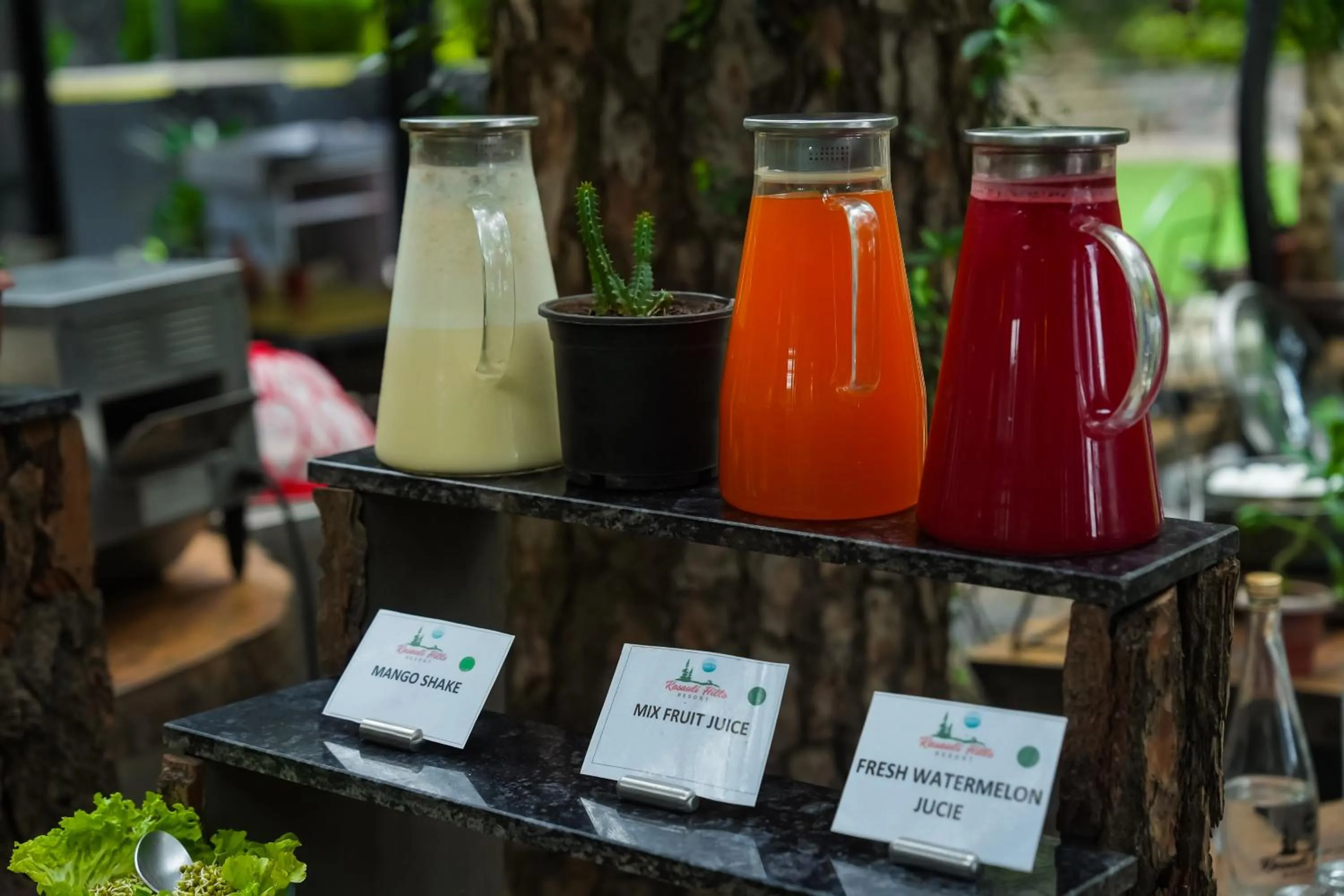 Breakfast in Kasauli Hills Resort