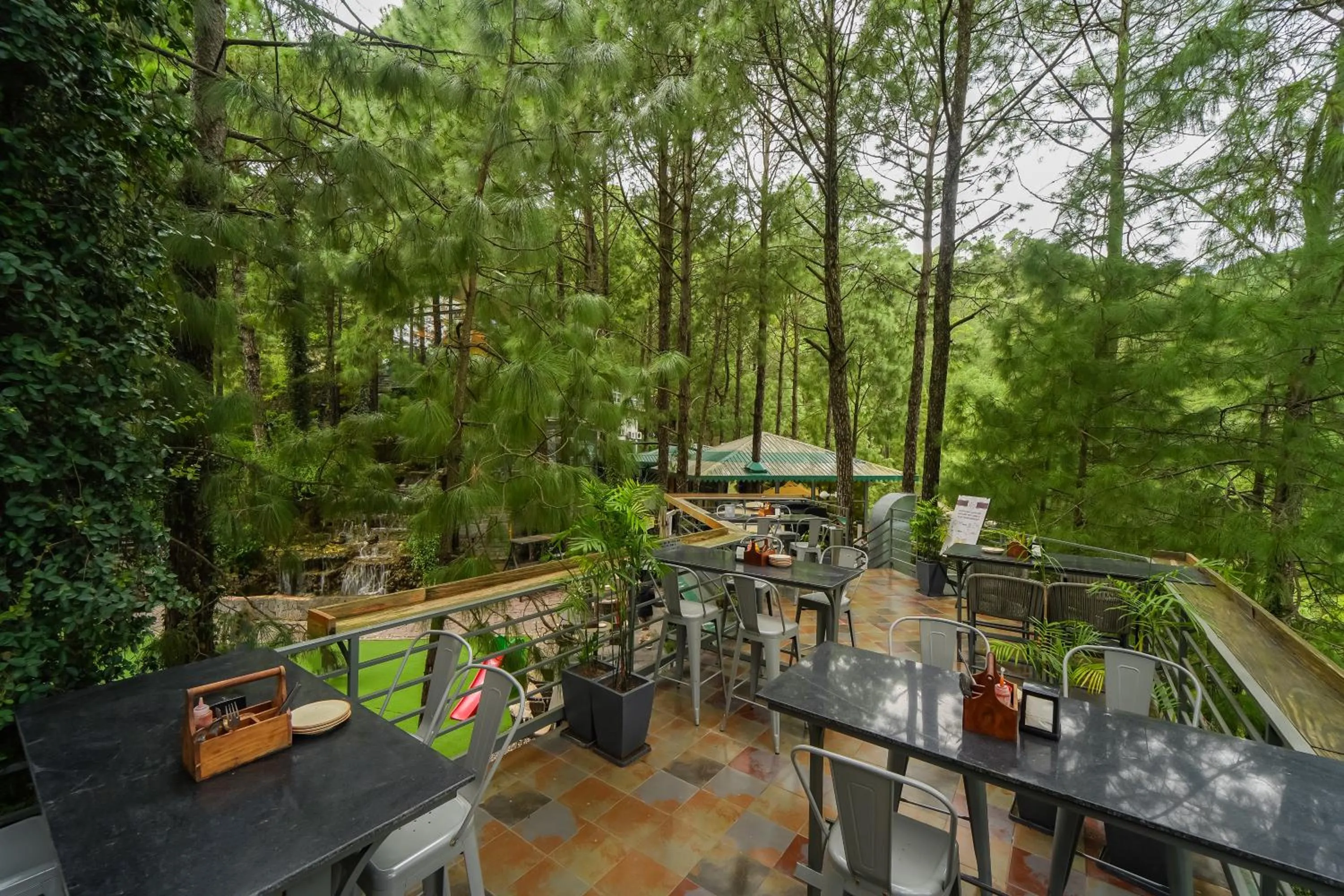 Restaurant/places to eat in Kasauli Hills Resort