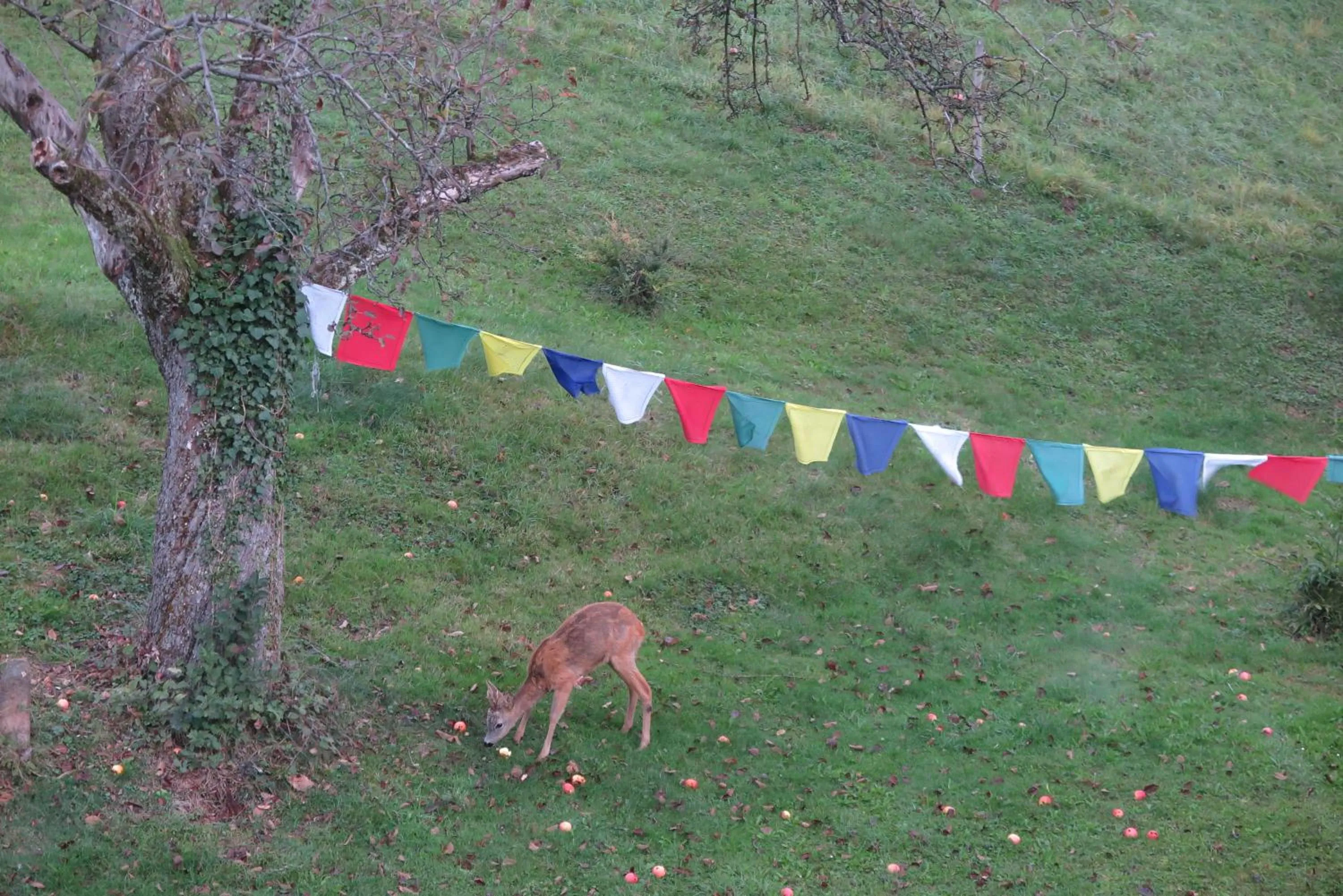 Garden in B&B Sigrid Braun-Budde