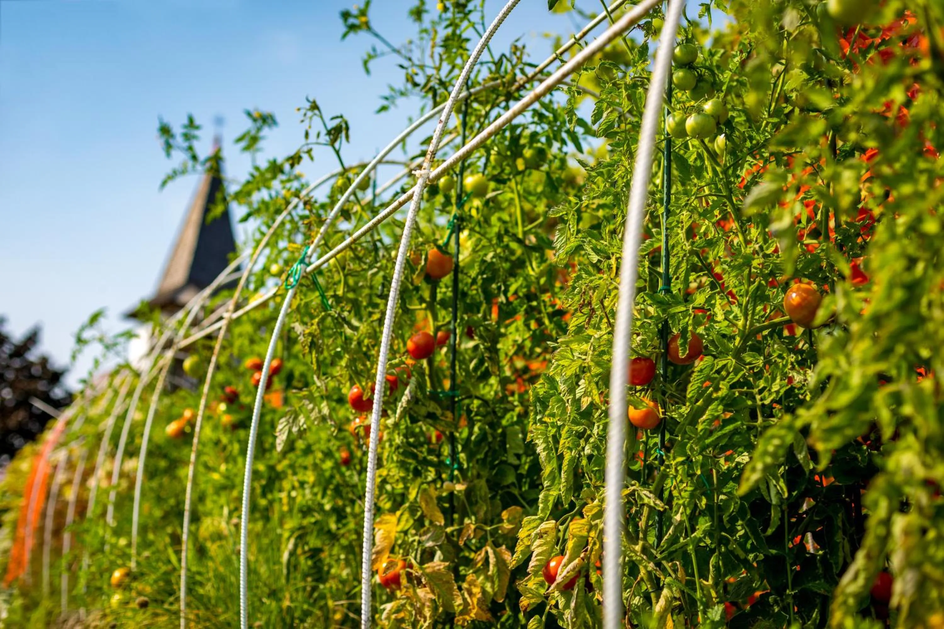 Day in Hotel Bellevue