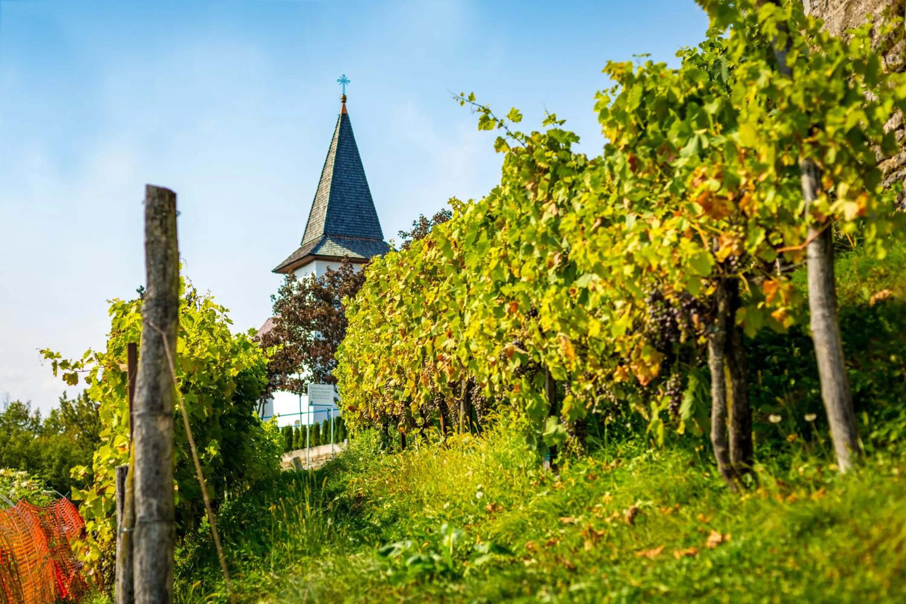 Day in Hotel Bellevue