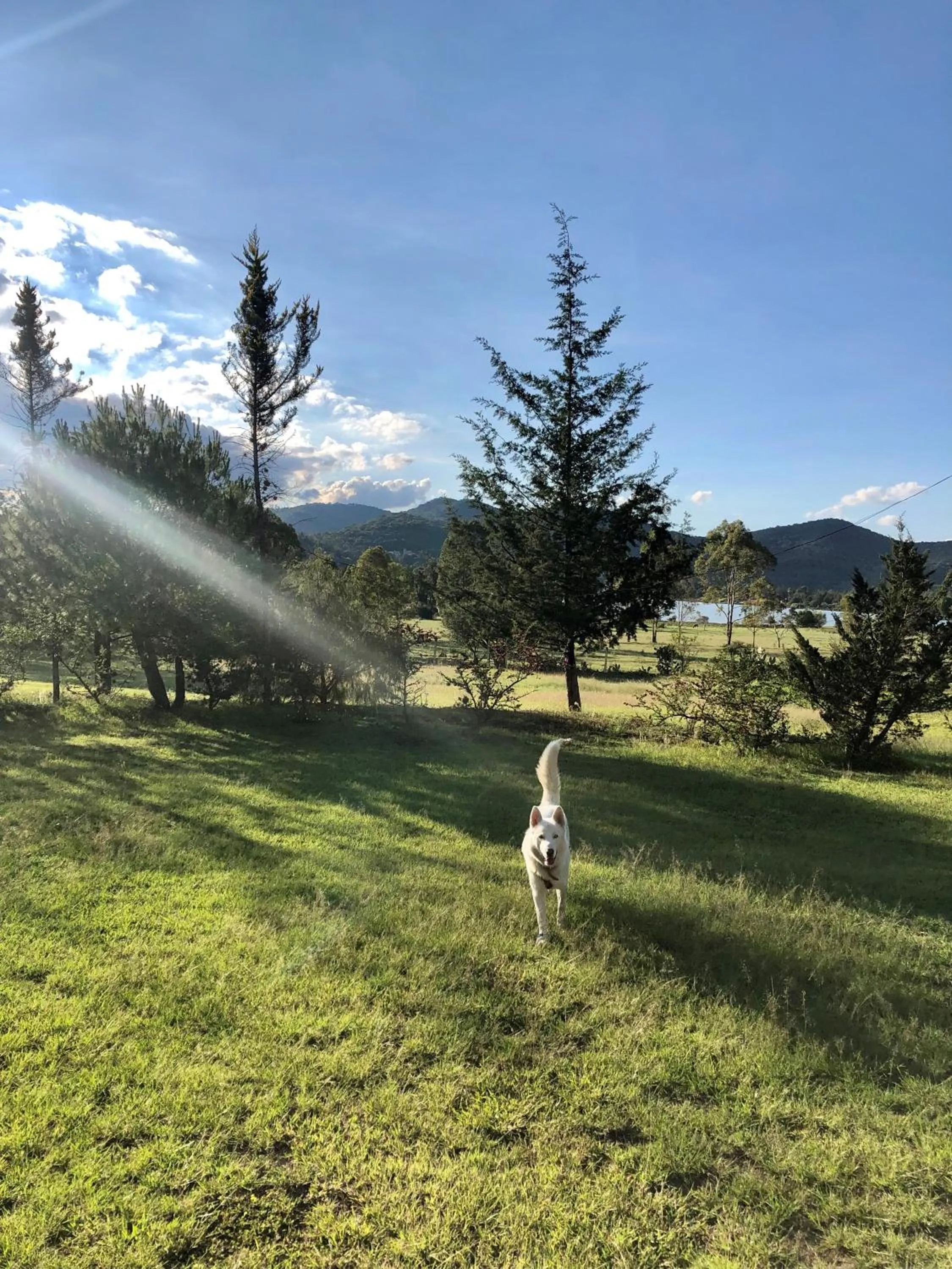 Hotel Boutique Calderon