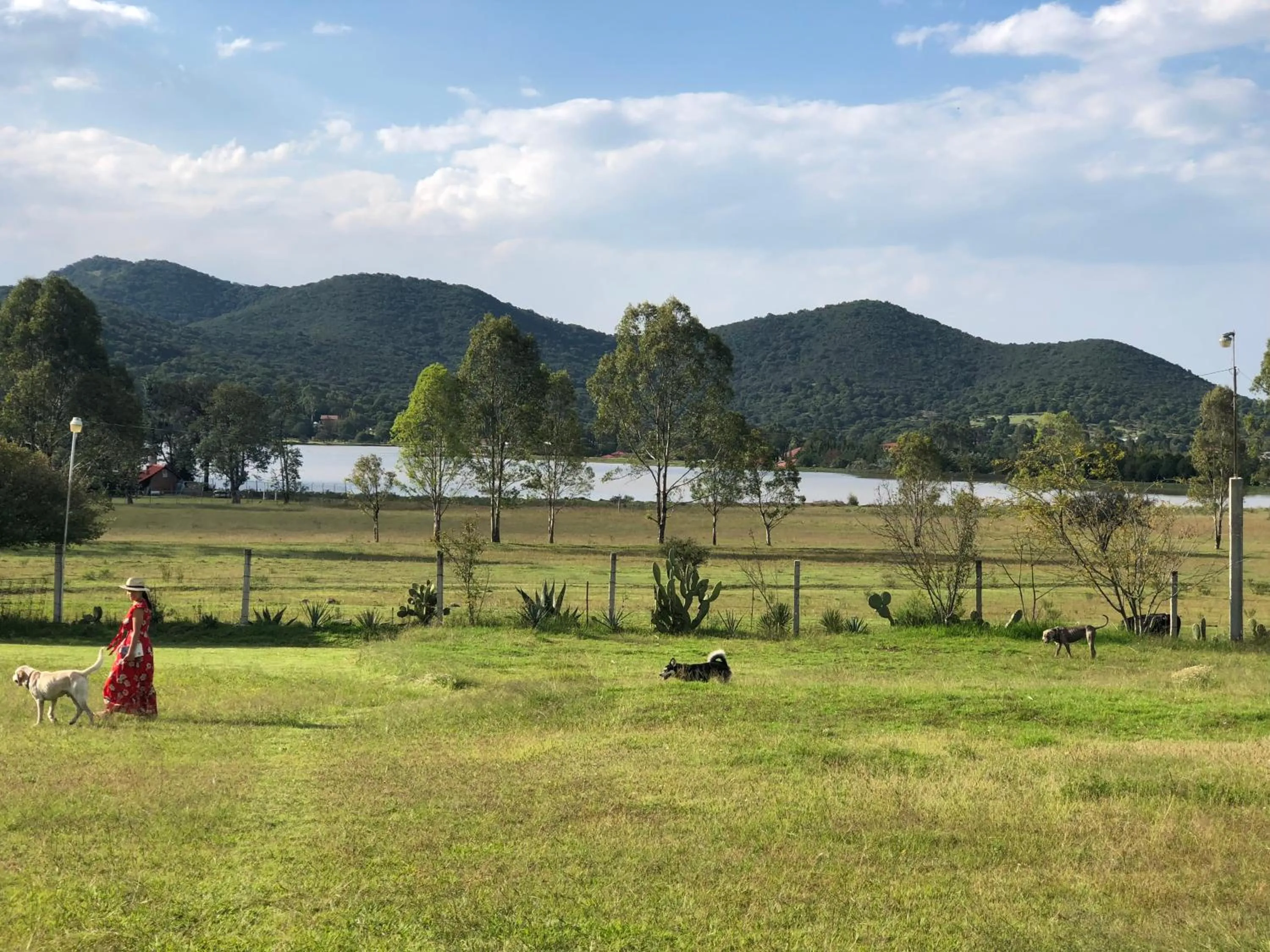 Natural landscape in Hotel Boutique Calderon