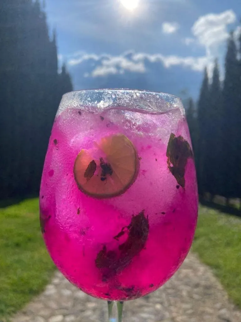 Restaurant/places to eat in Hotel Boutique Calderon