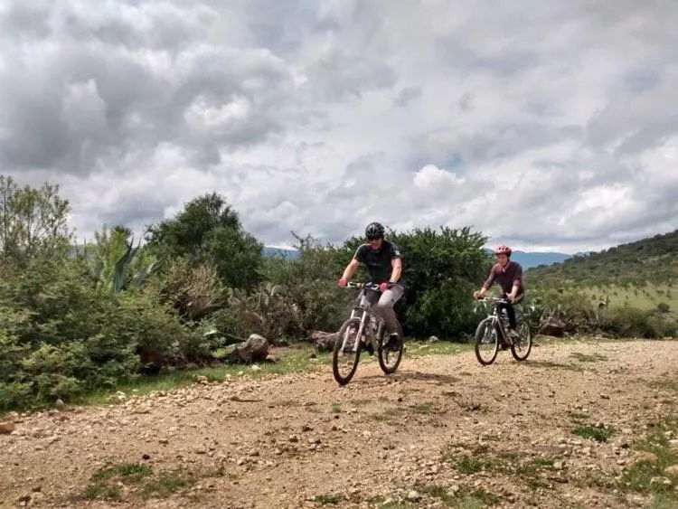 Activities in Hotel Boutique Calderon