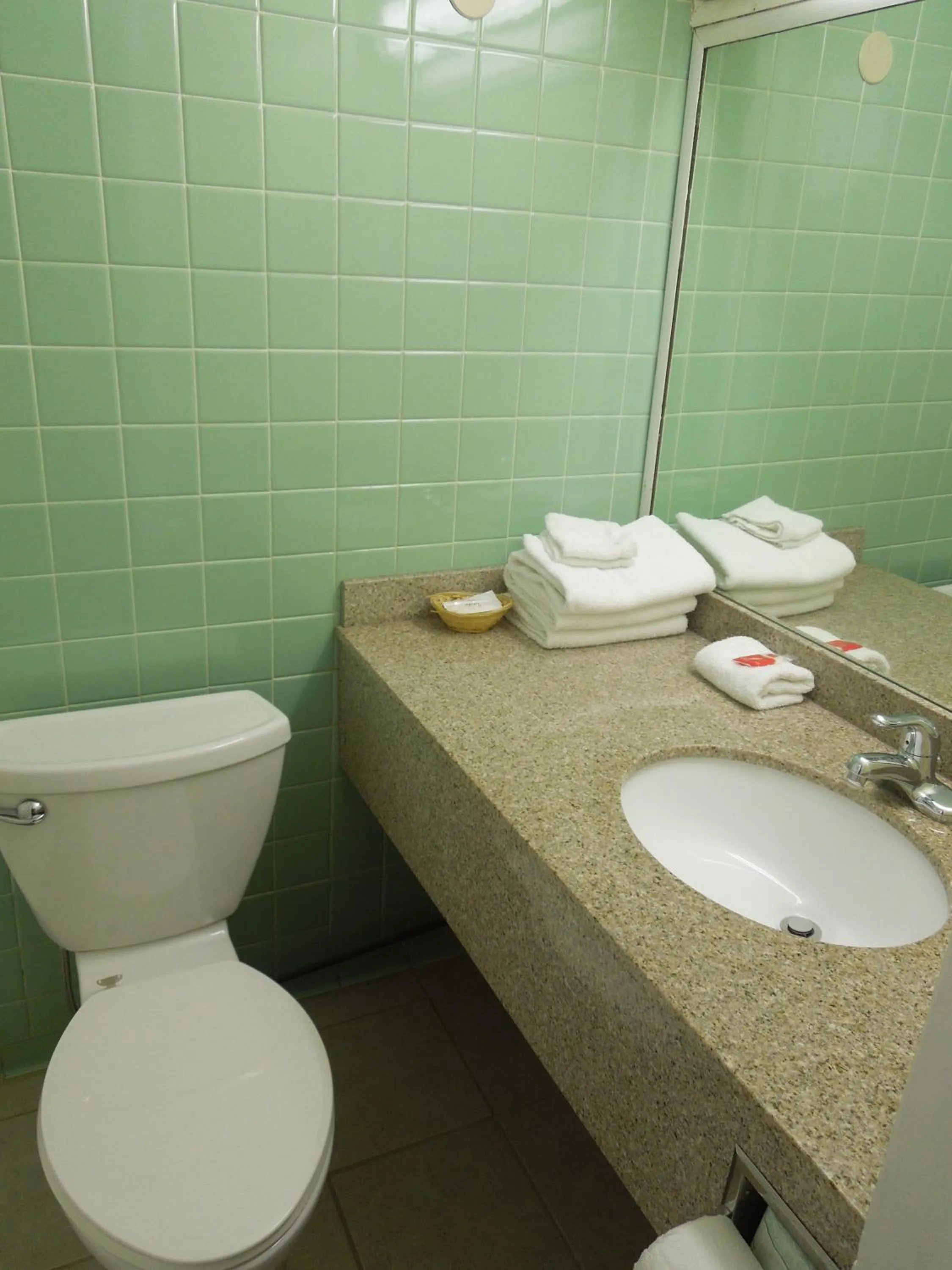 Bathroom in Red Carpet Inn Syracuse Airport