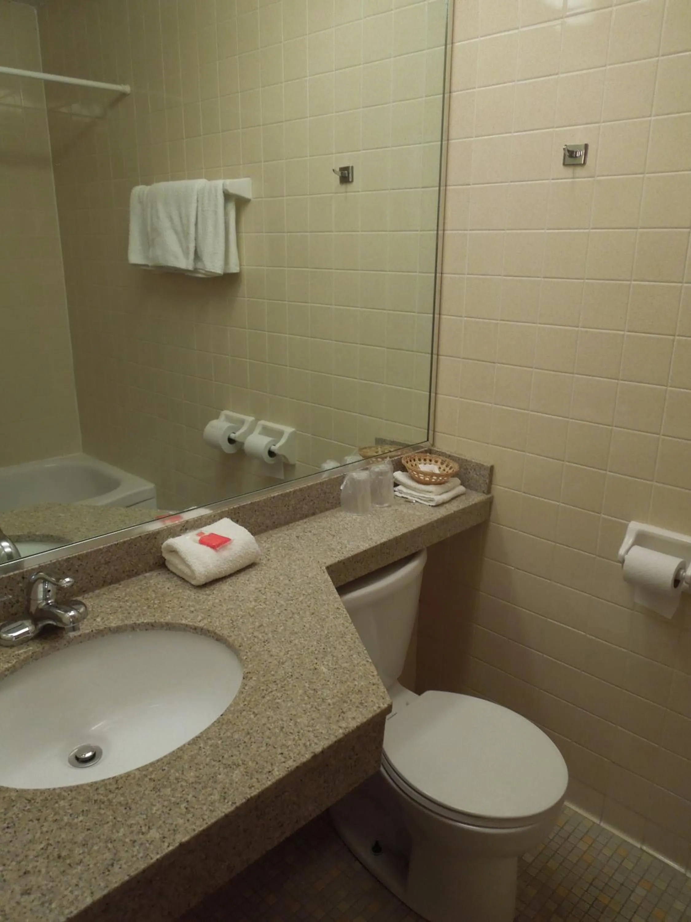 Bathroom in Red Carpet Inn Syracuse Airport