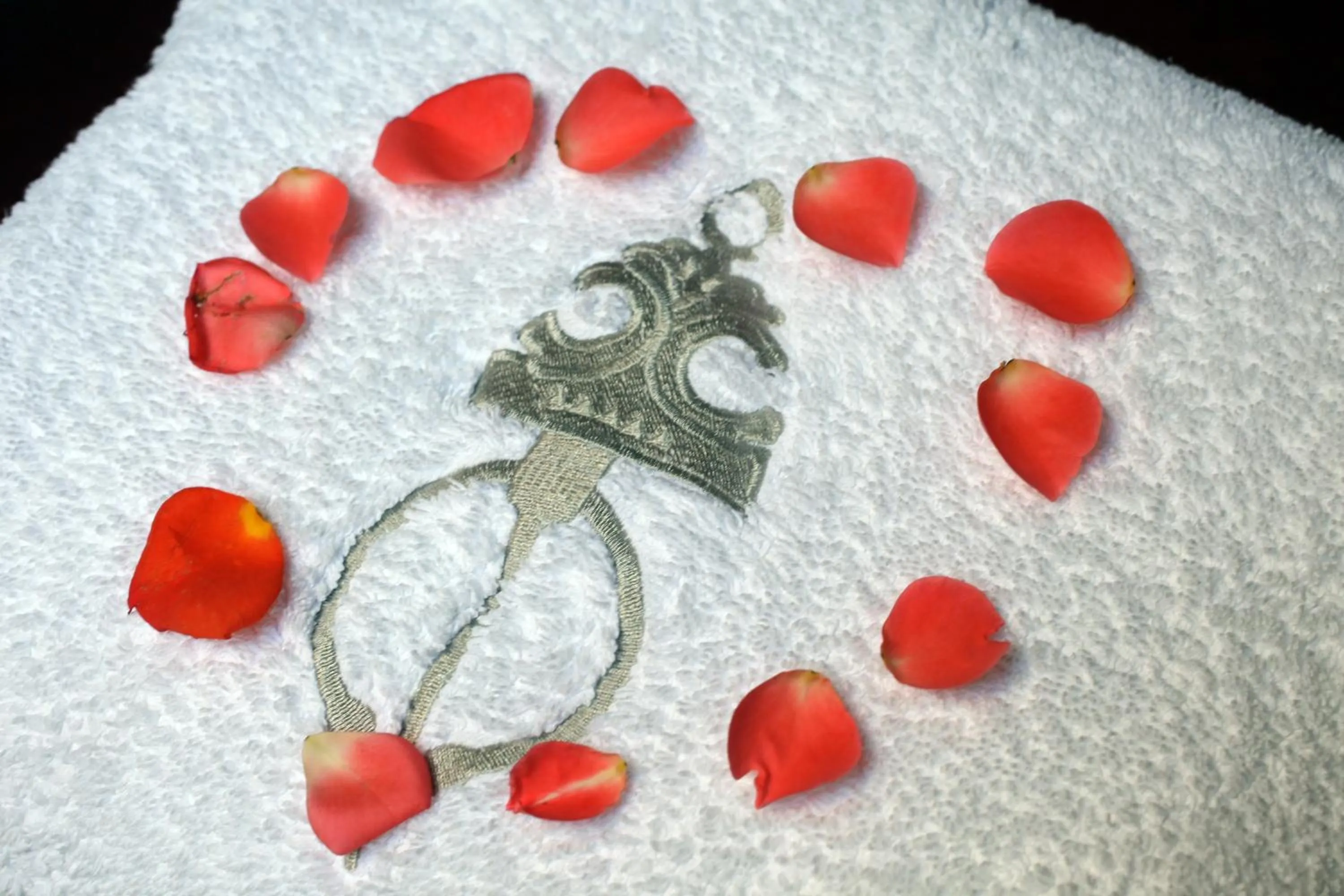 Decorative detail in Riad Belle Epoque