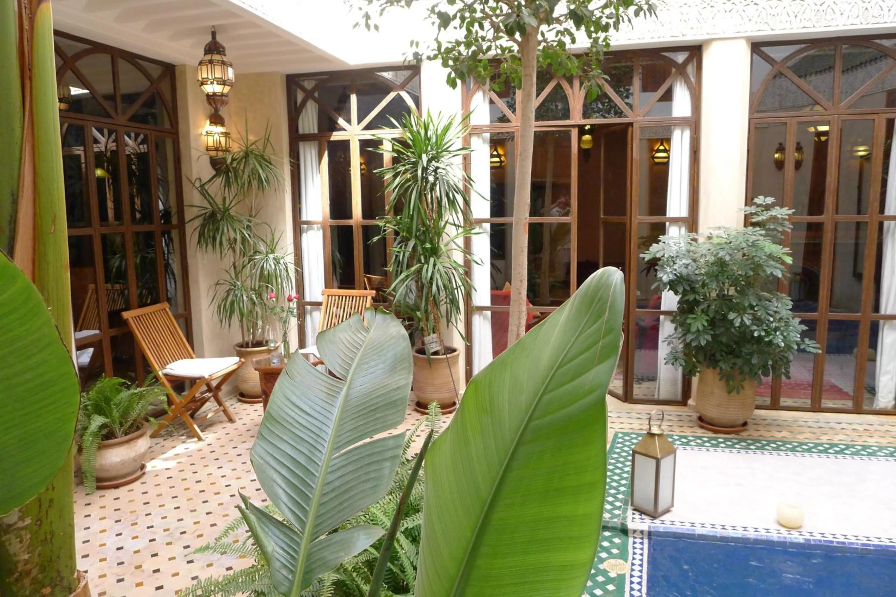 Garden in Riad Belle Epoque