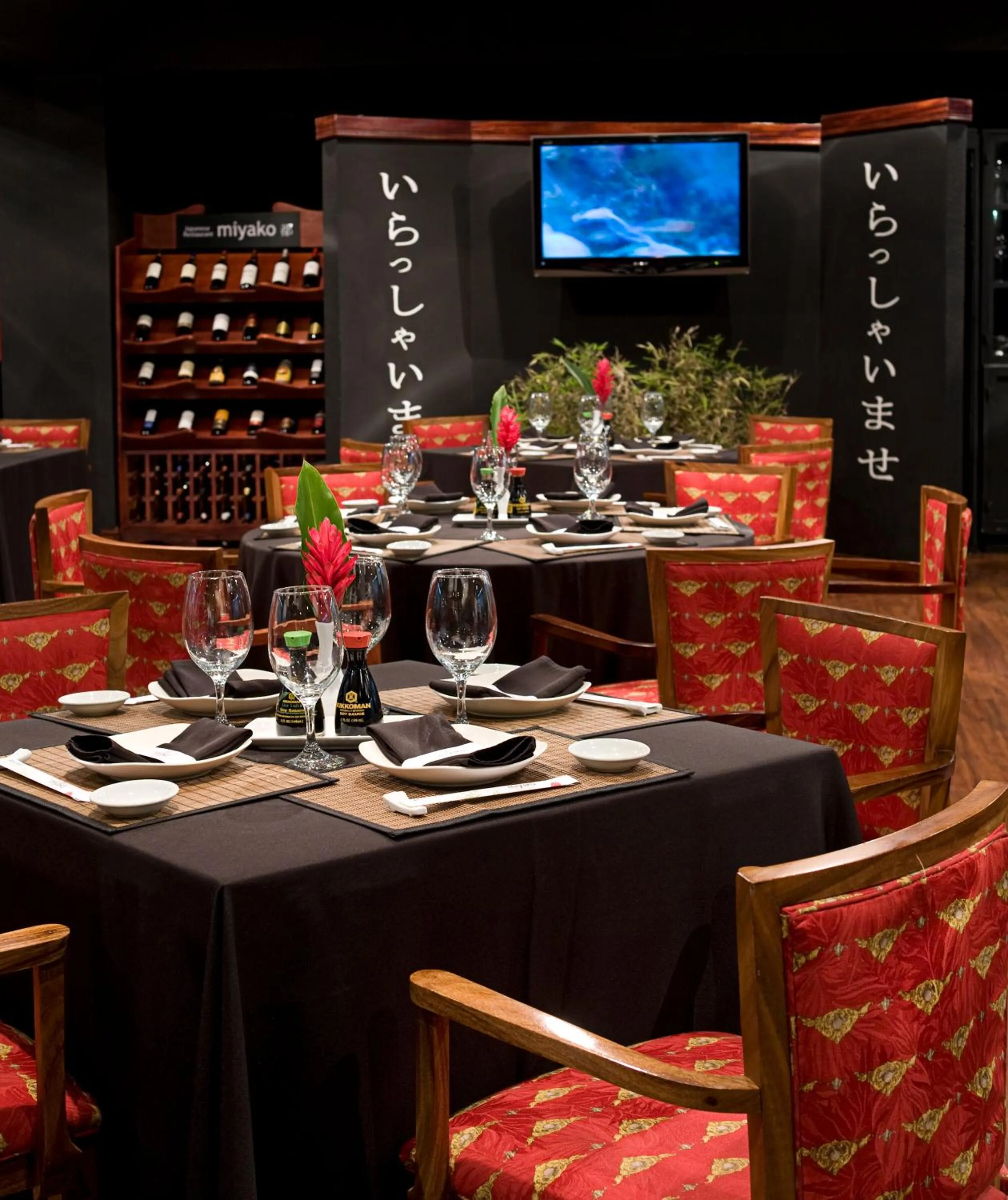 Restaurant/places to eat in Barceló San José