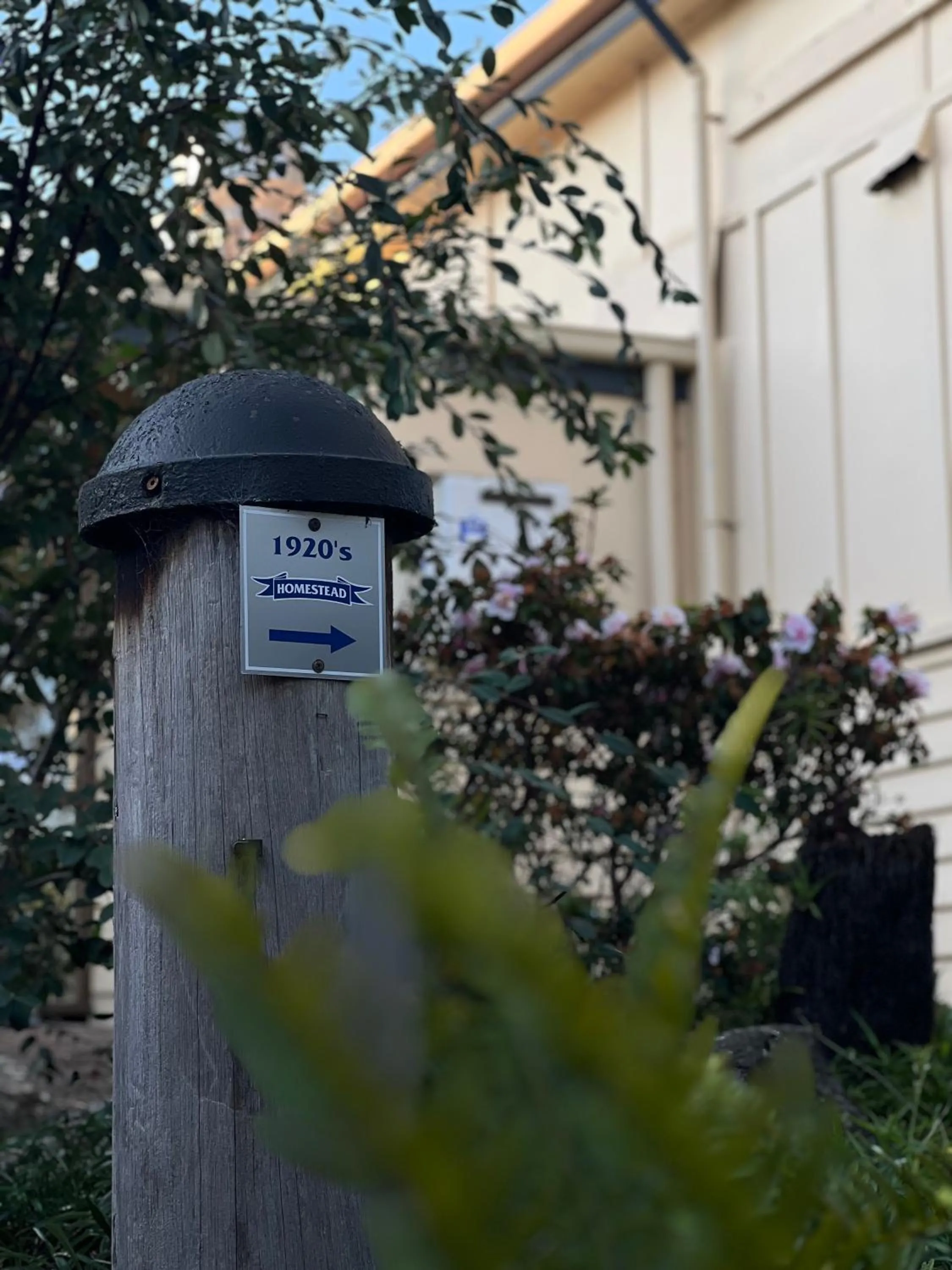 Property building in Amaroo Park