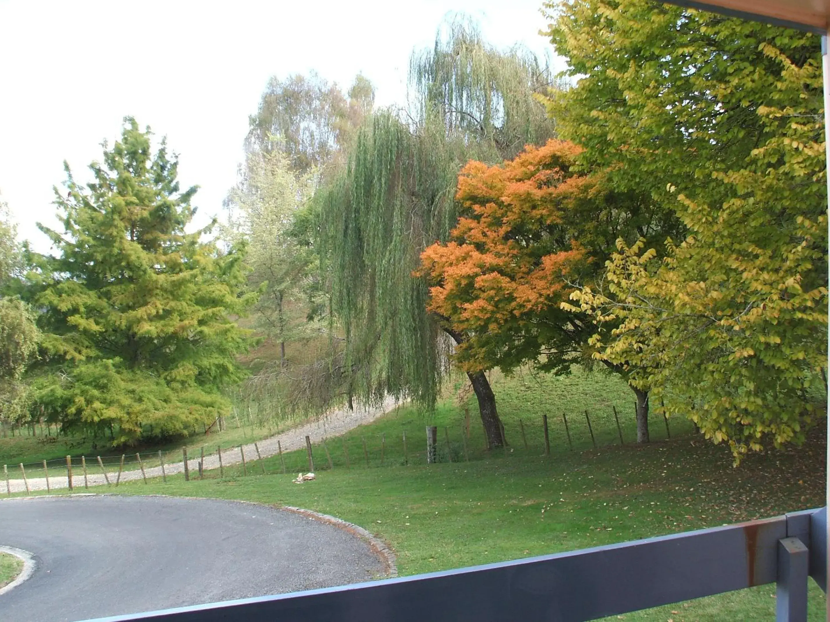 Double or Twin Room in Caves Motor Inn Double or Twin Room in Caves Motor Inn