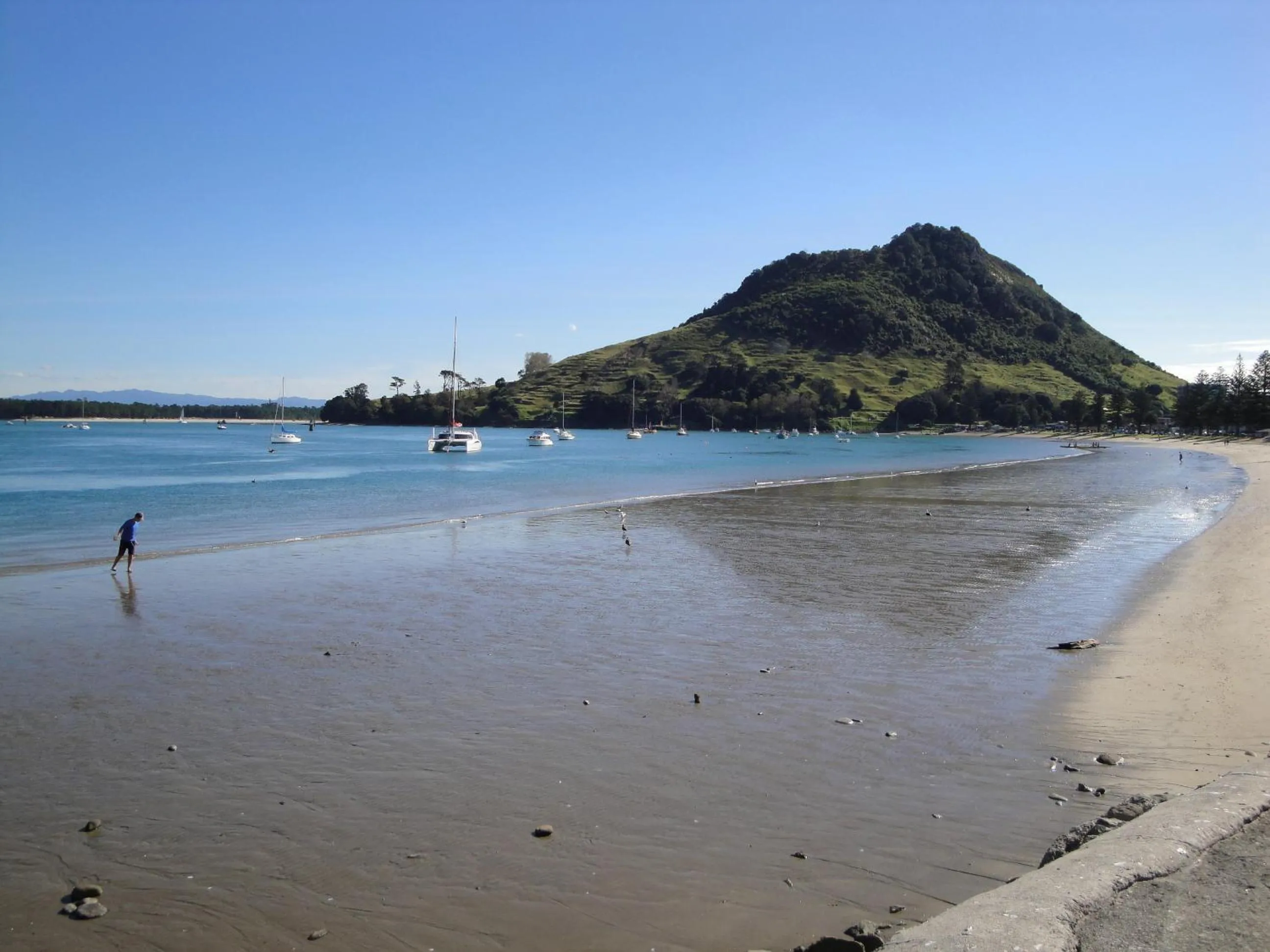 Area and facilities in Aquarius Motor Inn