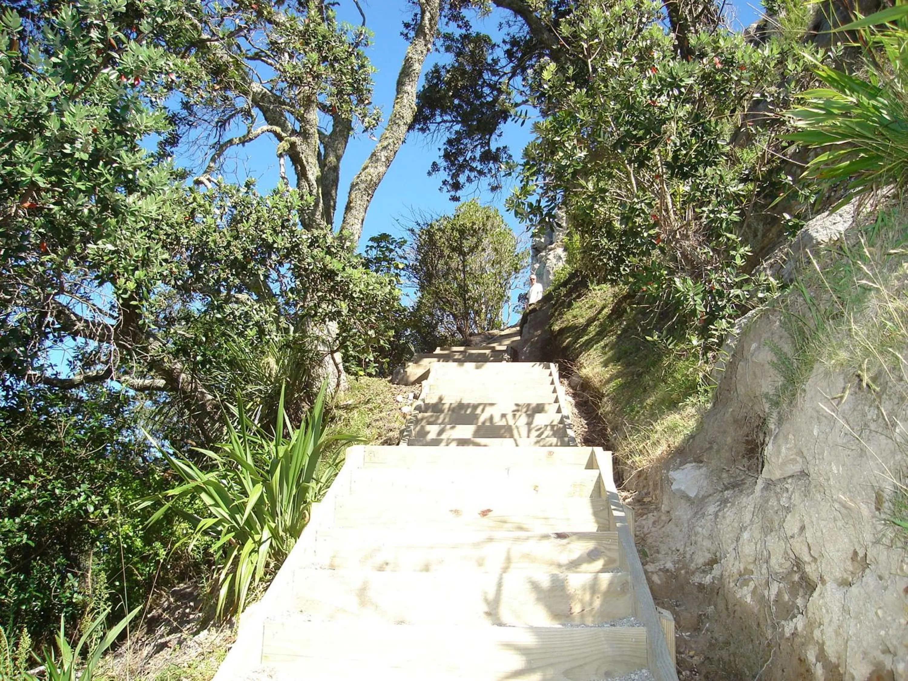 Area and facilities in Aquarius Motor Inn