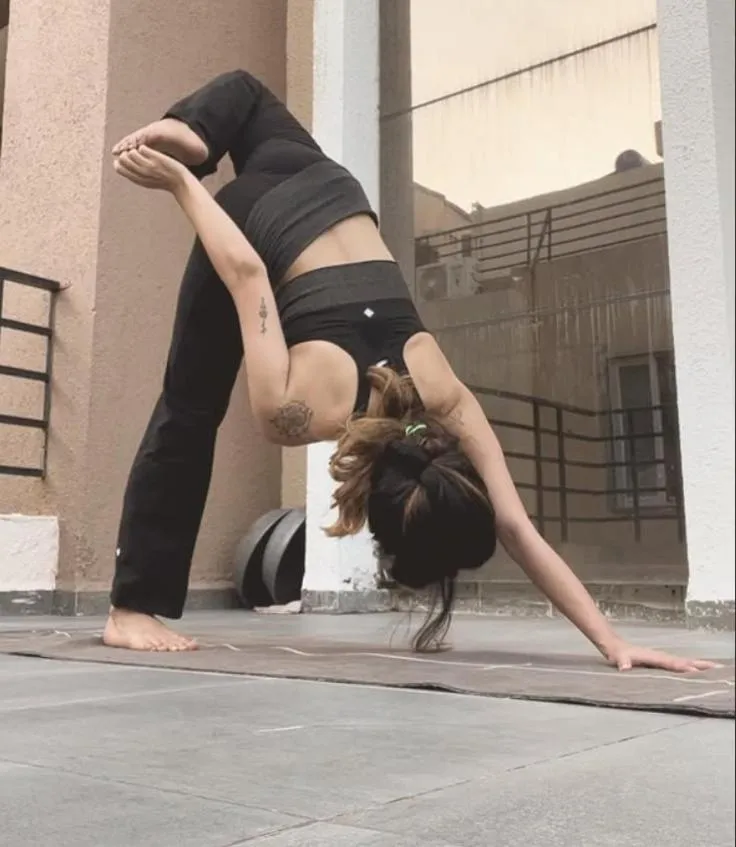 Palkiya Haveli - Heritage Hotel