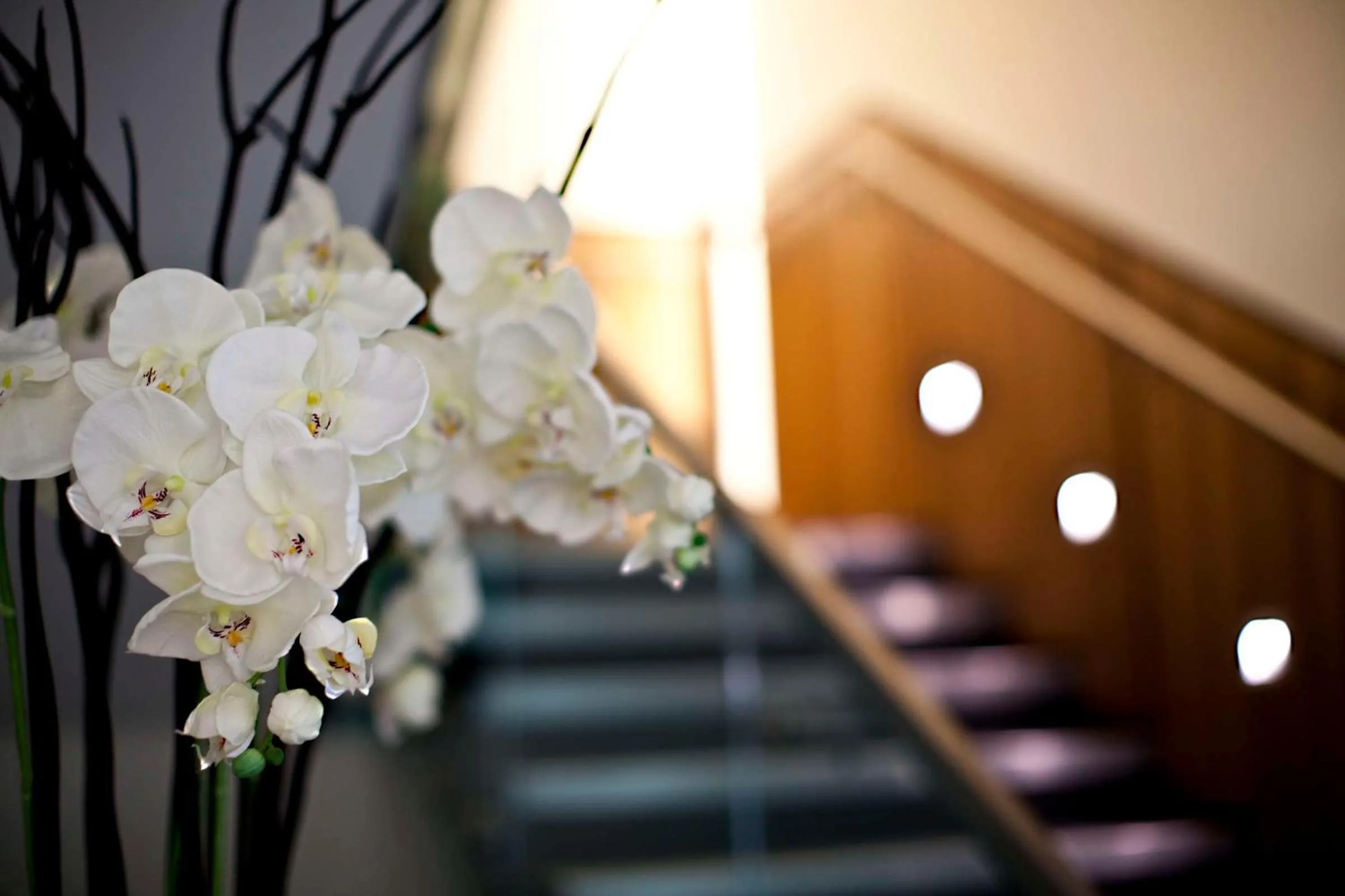 Spa and wellness centre/facilities in Hilton London Heathrow Airport Terminal 5