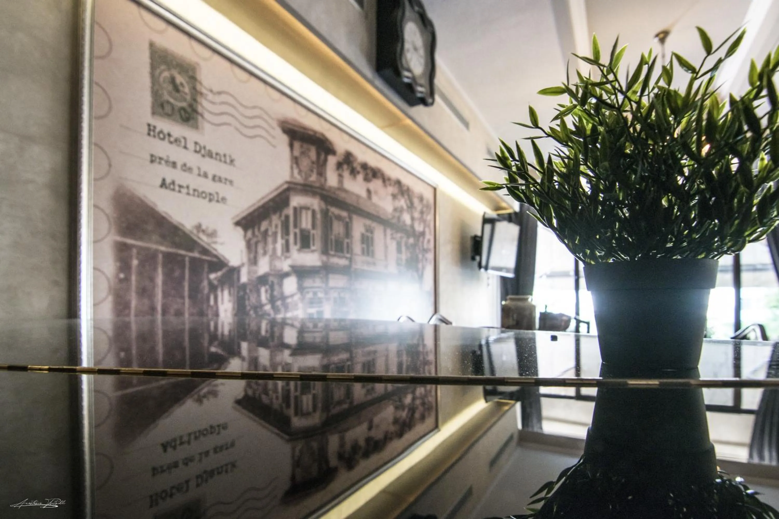 Communal lounge/ TV room in Vienni