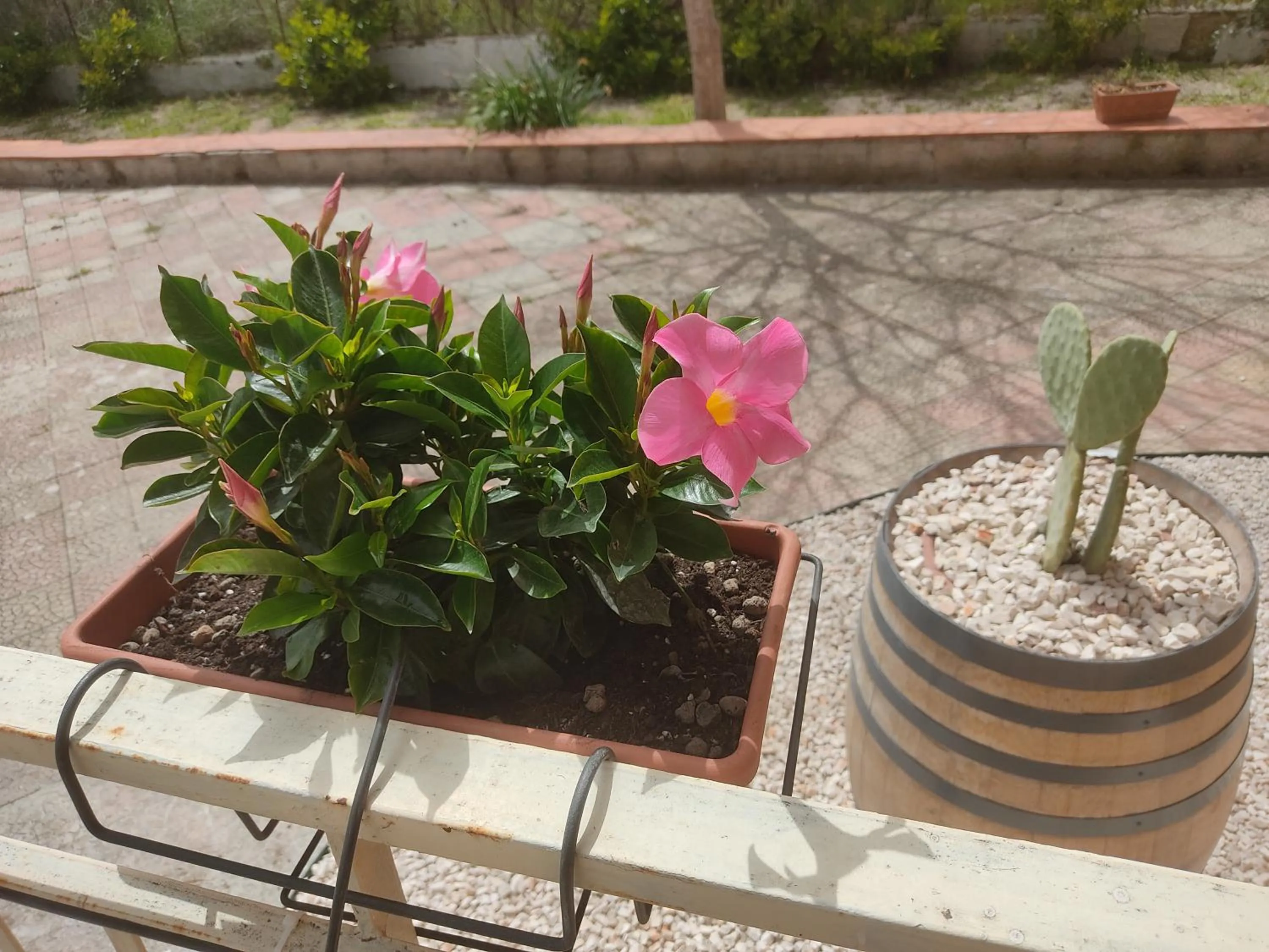 Property building in B&B Lara Santola