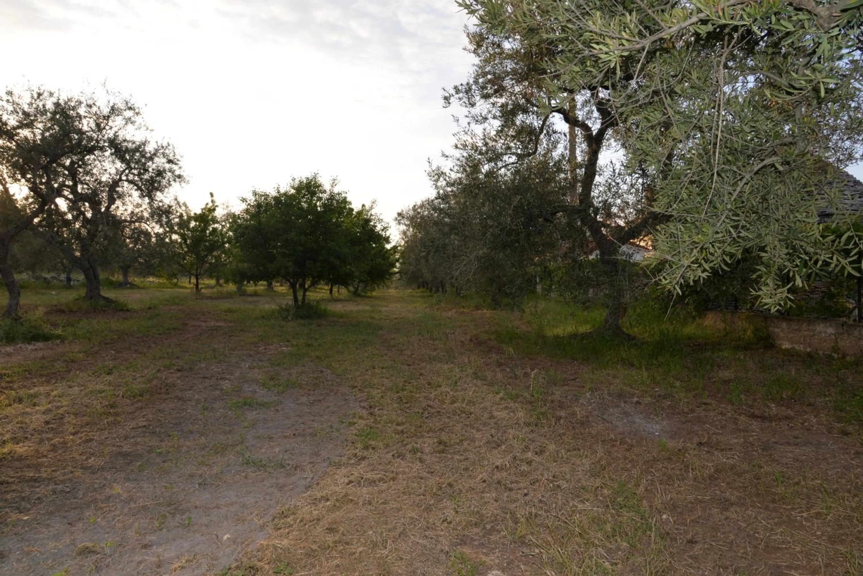 Property building in B&B Lara Santola