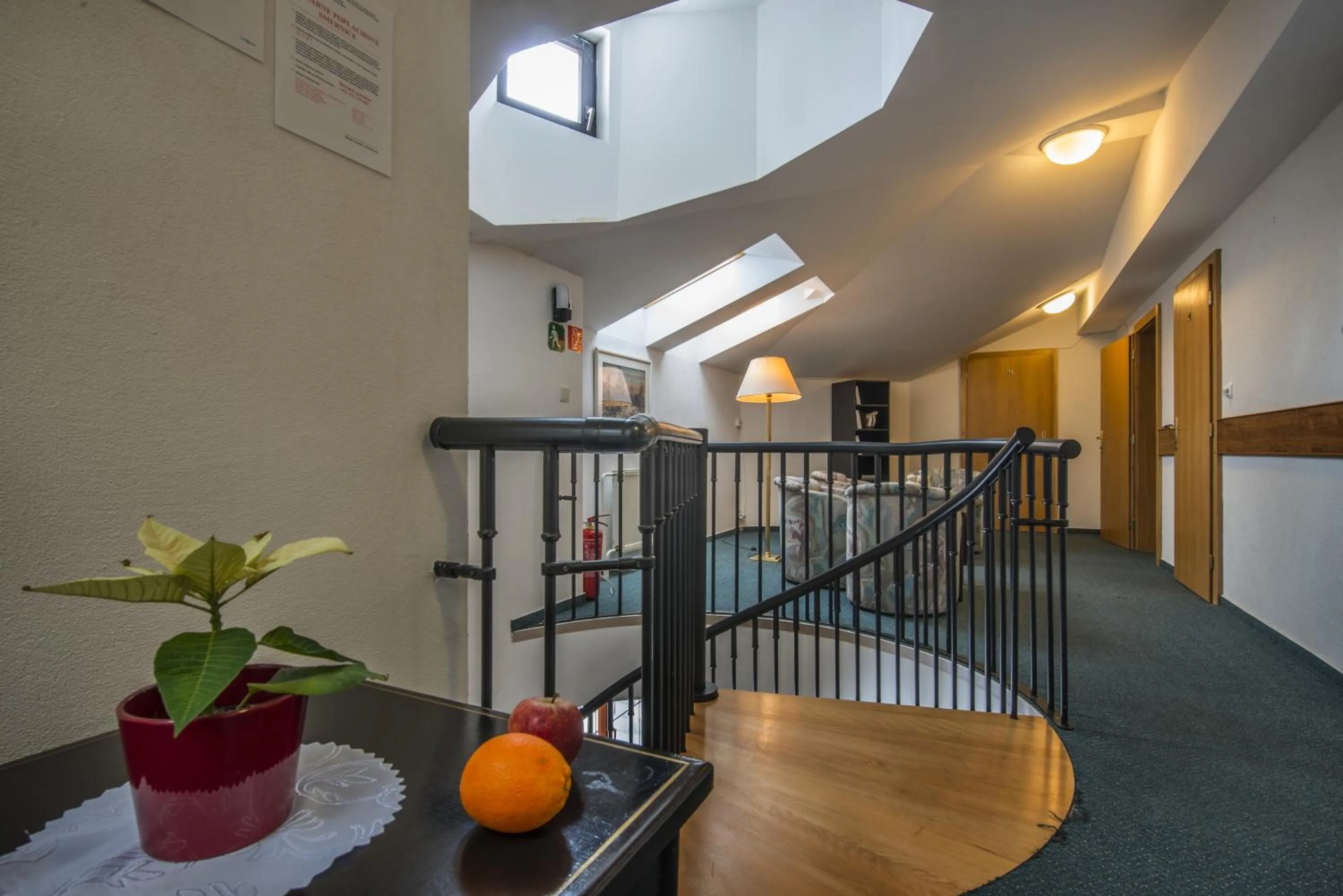 Activities in Penzión Pleso