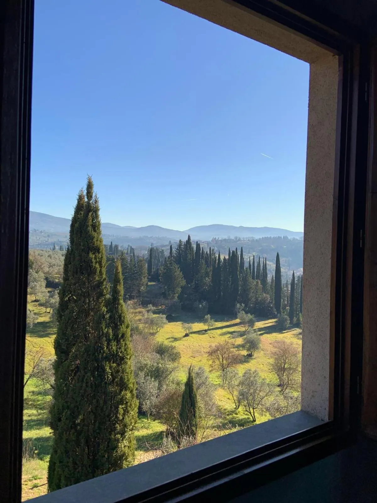 View (from property/room) in Borgo Bottaia