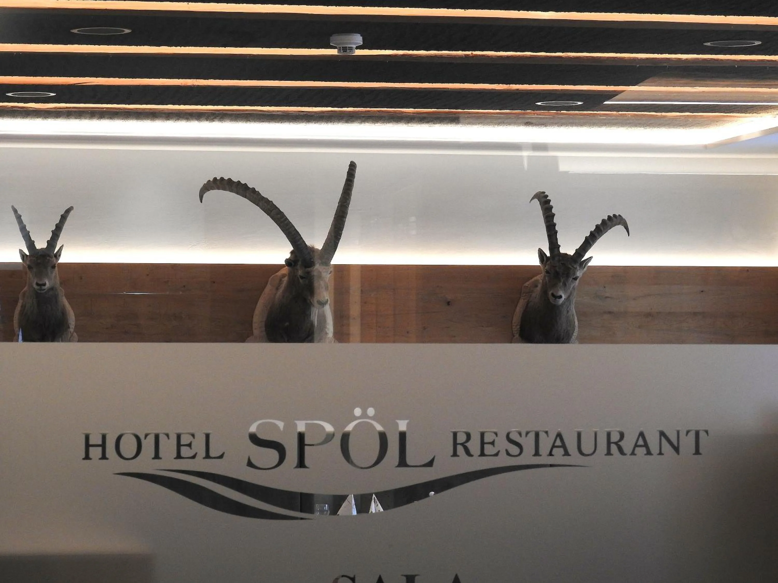 Logo/Certificate/Sign in Hotel Spöl Restaurant
