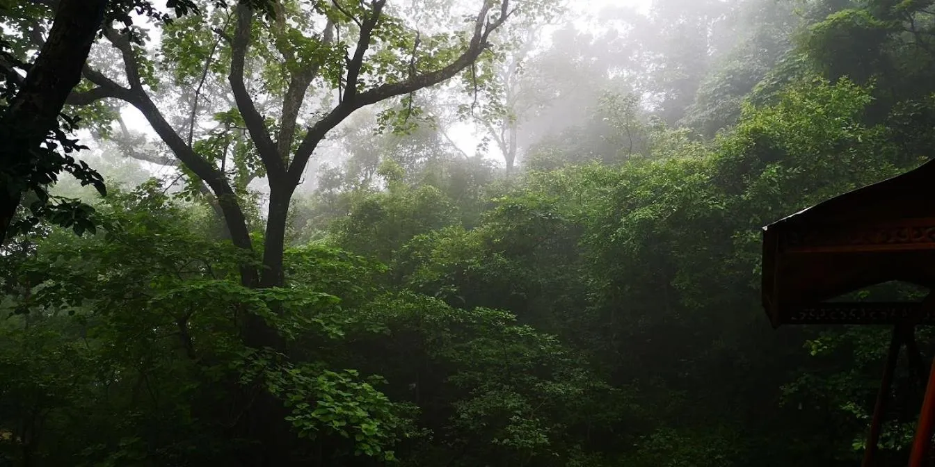 Natural landscape in Hill Top Swiss Cottage